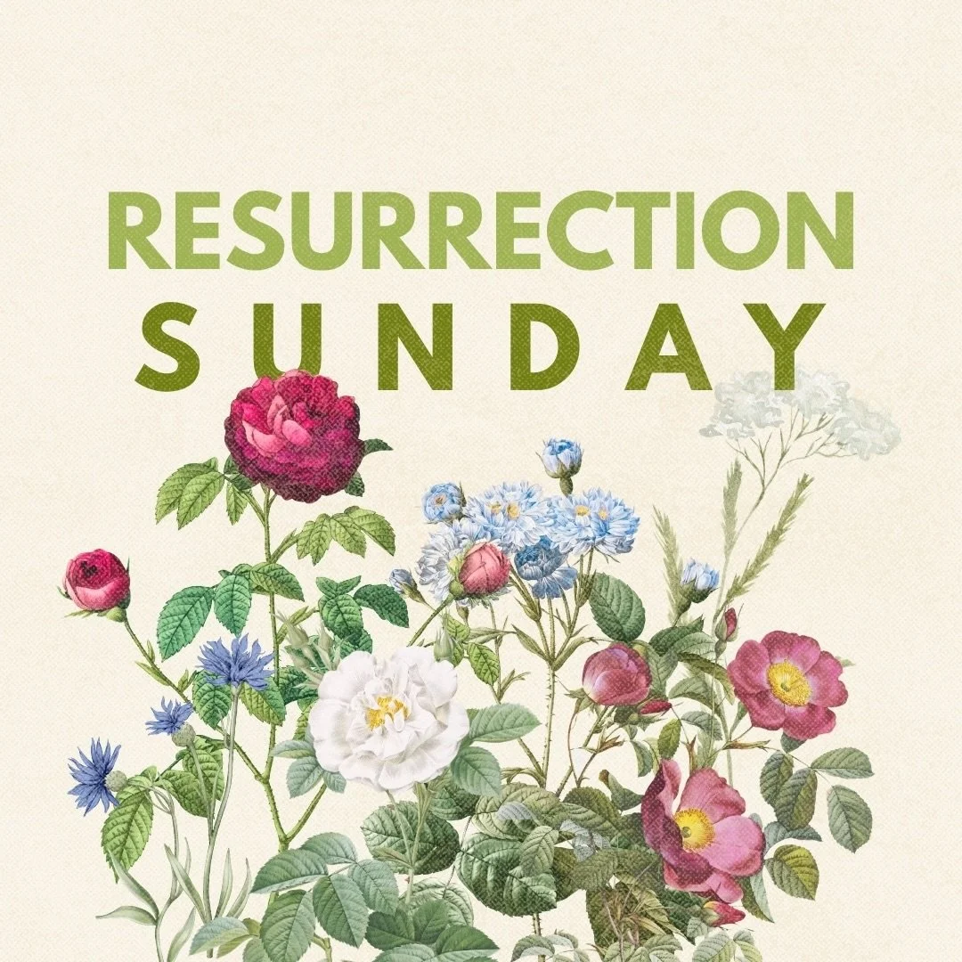 Resurrection Sunday! 

This is the day we have longed for since Genesis 3. The introduction to death has made us long for the defeat of death. 

Now we are here:

The tomb is empty!

Death is defeated!

Jesus is alive!

We have hope!

Because of the 