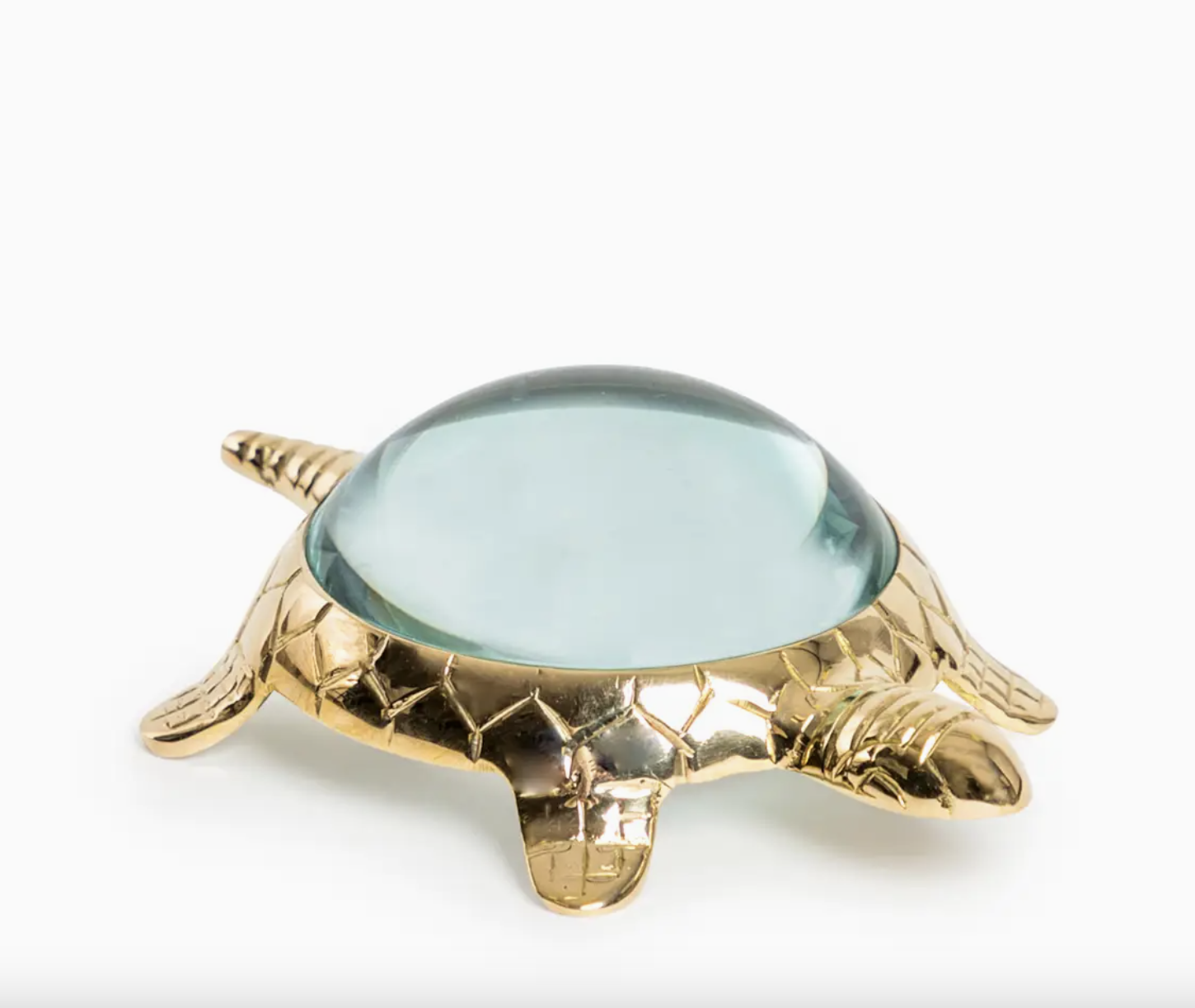 Tortoise Magnifying Glass