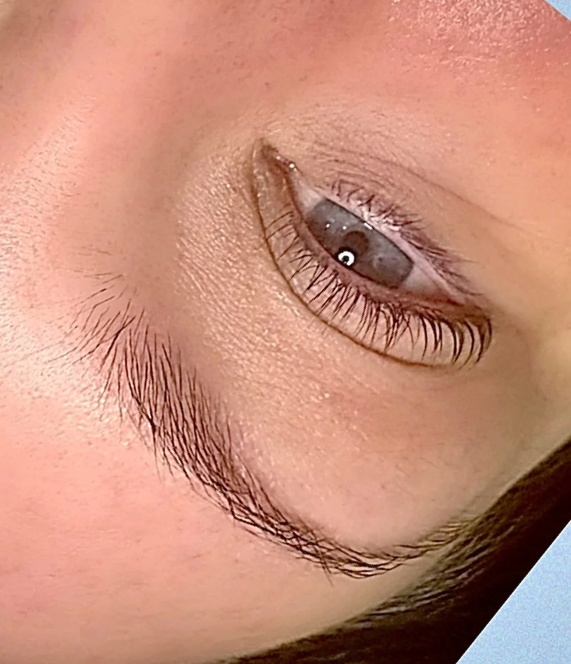 That fresh lash perm view ✨
.
.
#calgarylashartist #yyclashperm #mardalooplashes #tesorobeautyyyc #esjayestheticsandlashes