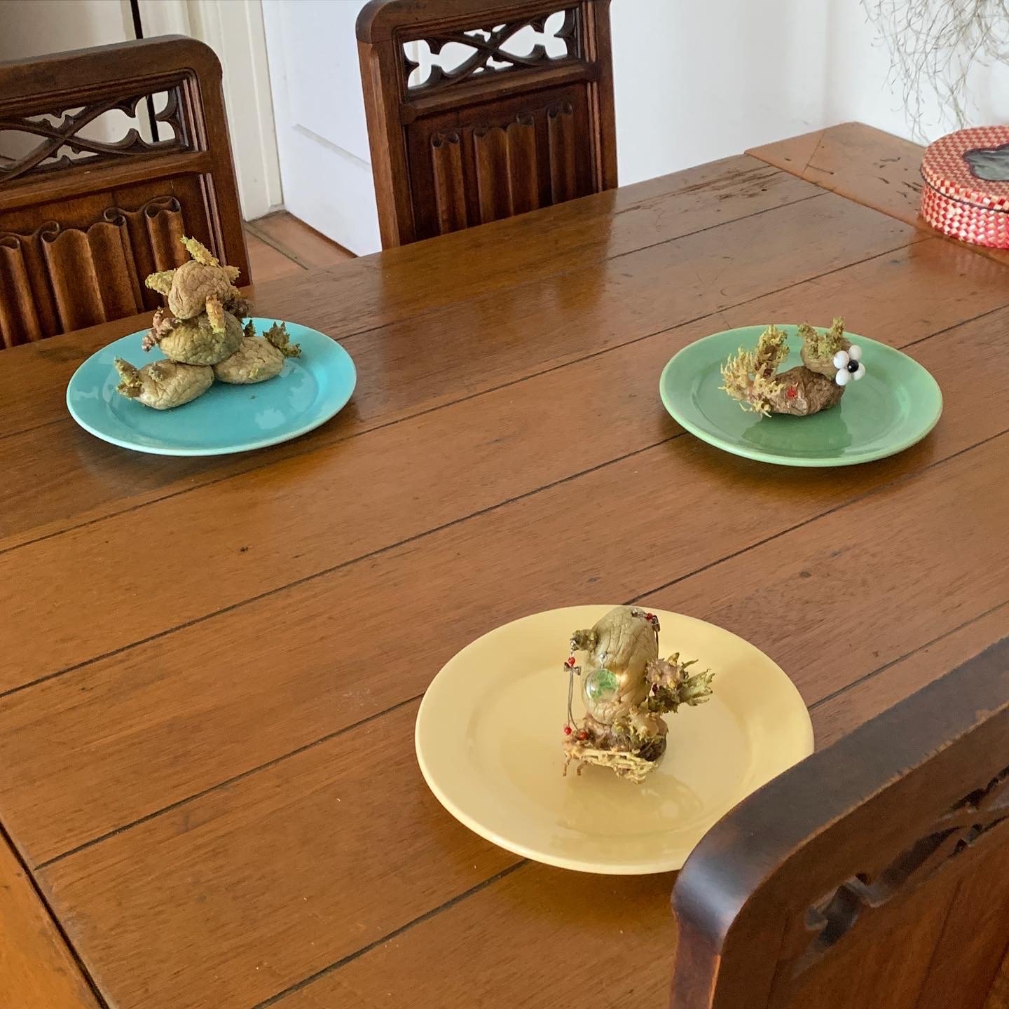 Sprouting potatoes with earrings and other findings stuck in them sit on a pastel blue, green and blue plates on a dining table. 