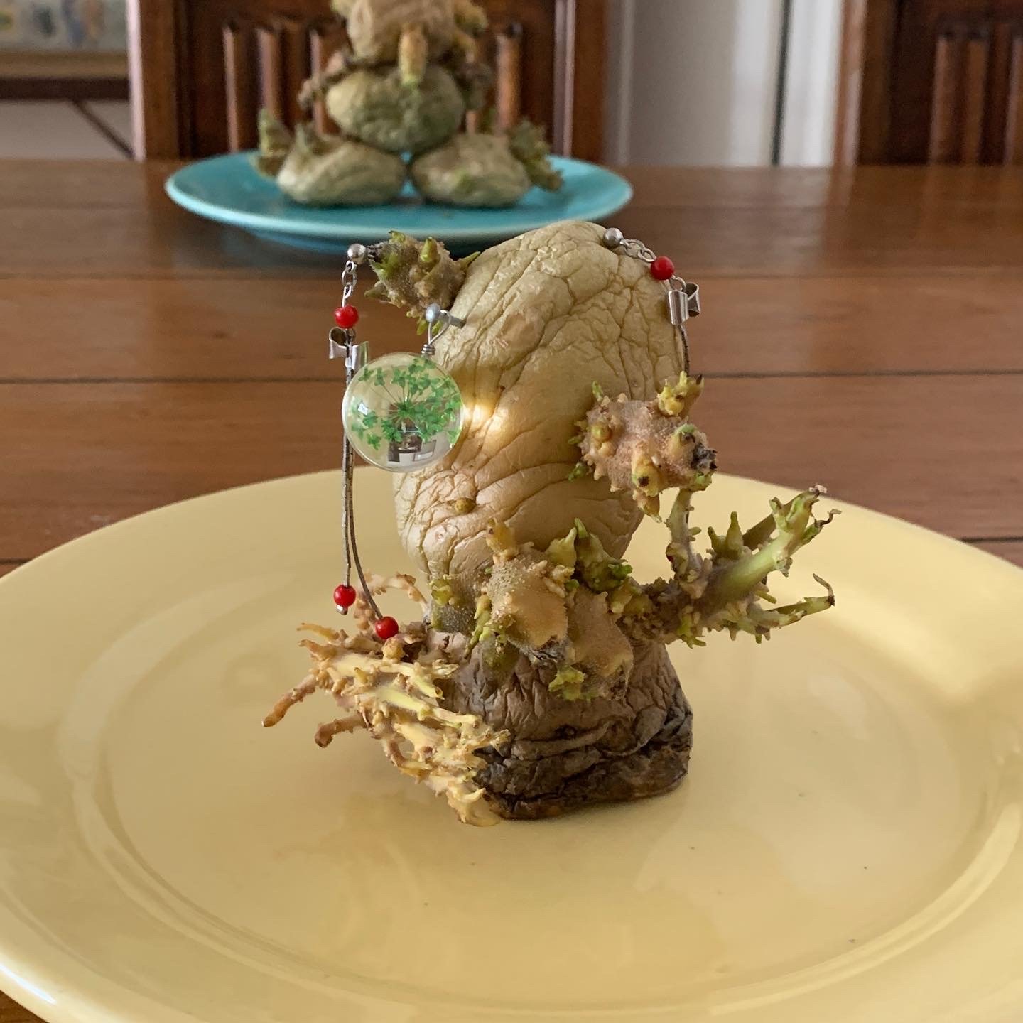 Sprouting potatoes with earrings and other findings stuck in them sit on a pastel blue, green and blue plates on a dining table. 