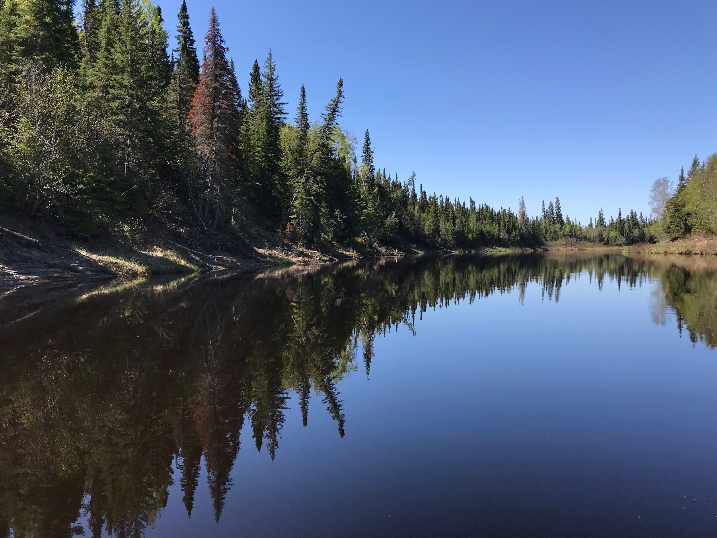 The beautiful North French River is one of our main study rivers for our research and youth program. 