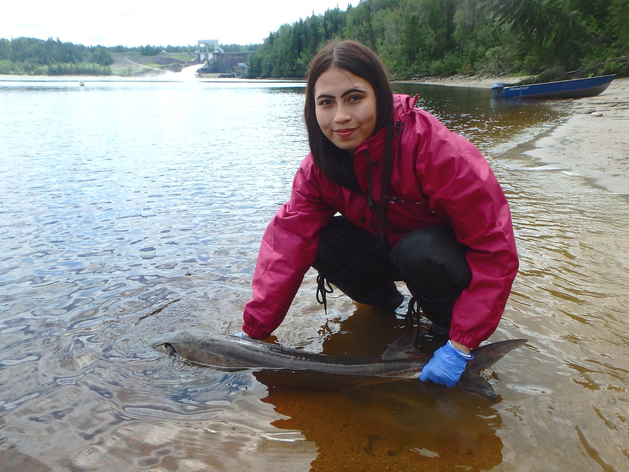 Ocean Phillips (Moose Cree First Nation youth participant) releases a lake sturgeon on the Mattagami River.
