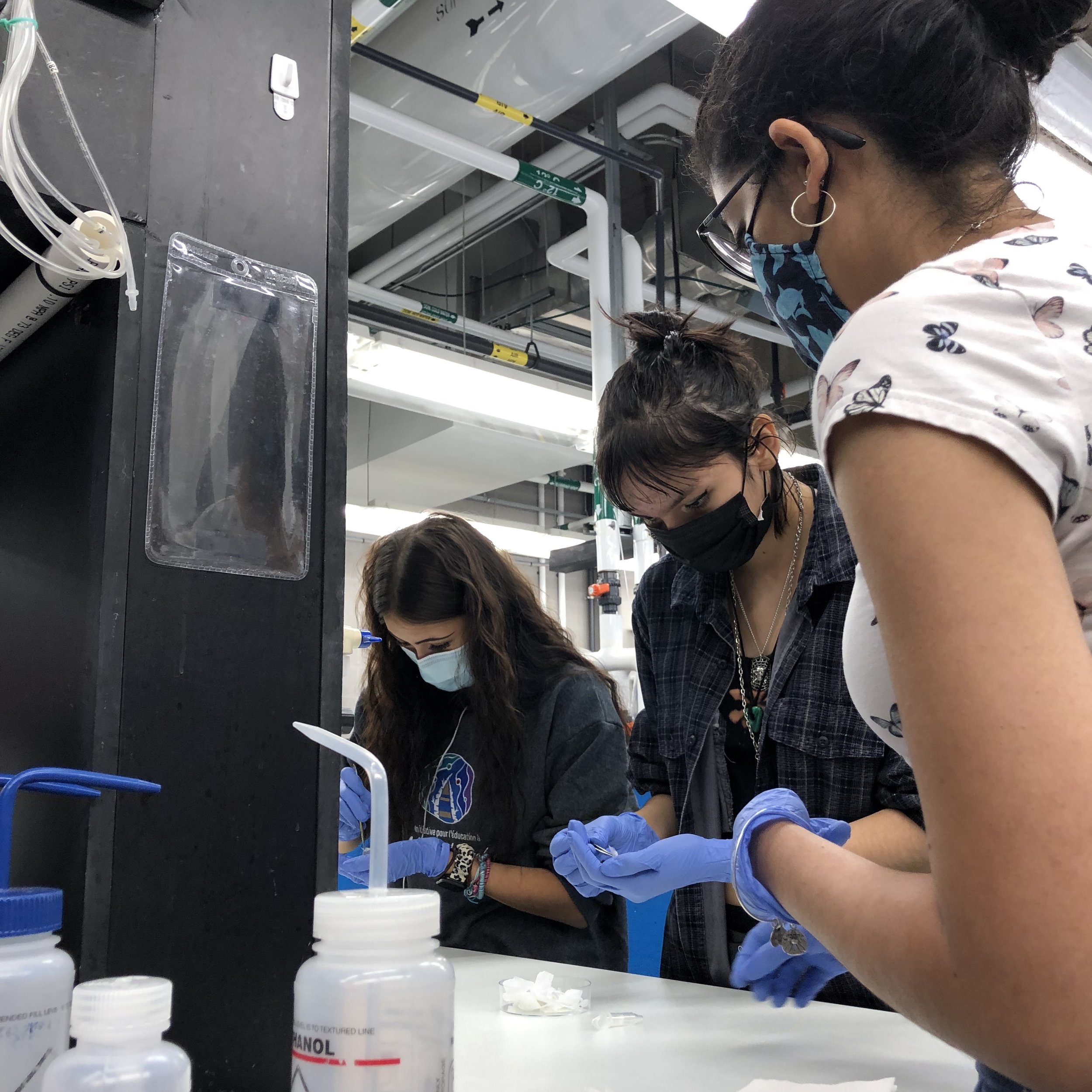 From embryo to adult fish, MCFN youth (Ocean Phillips (left),Kessa Chum (center)) got to explore fish and then learn to sample with the Aquatic Omics Lab at Ontario Tech University.