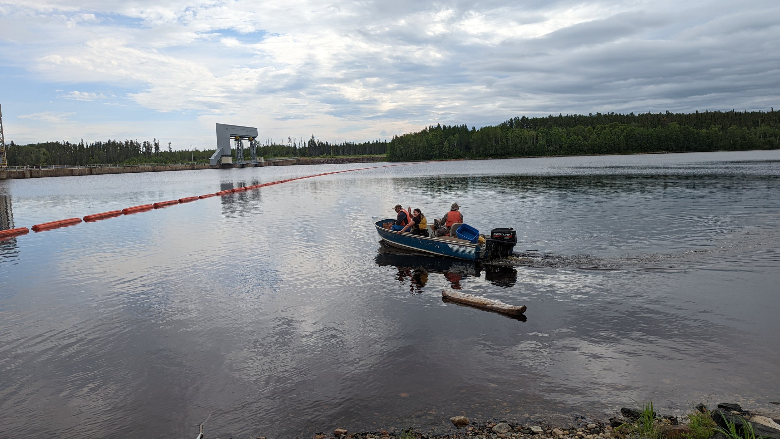 Some of the Mattagami River field crew head out to check a net for lake sturgeon. In the background is one of the dams of the Lower Mattagami Hydroelectric Complex.