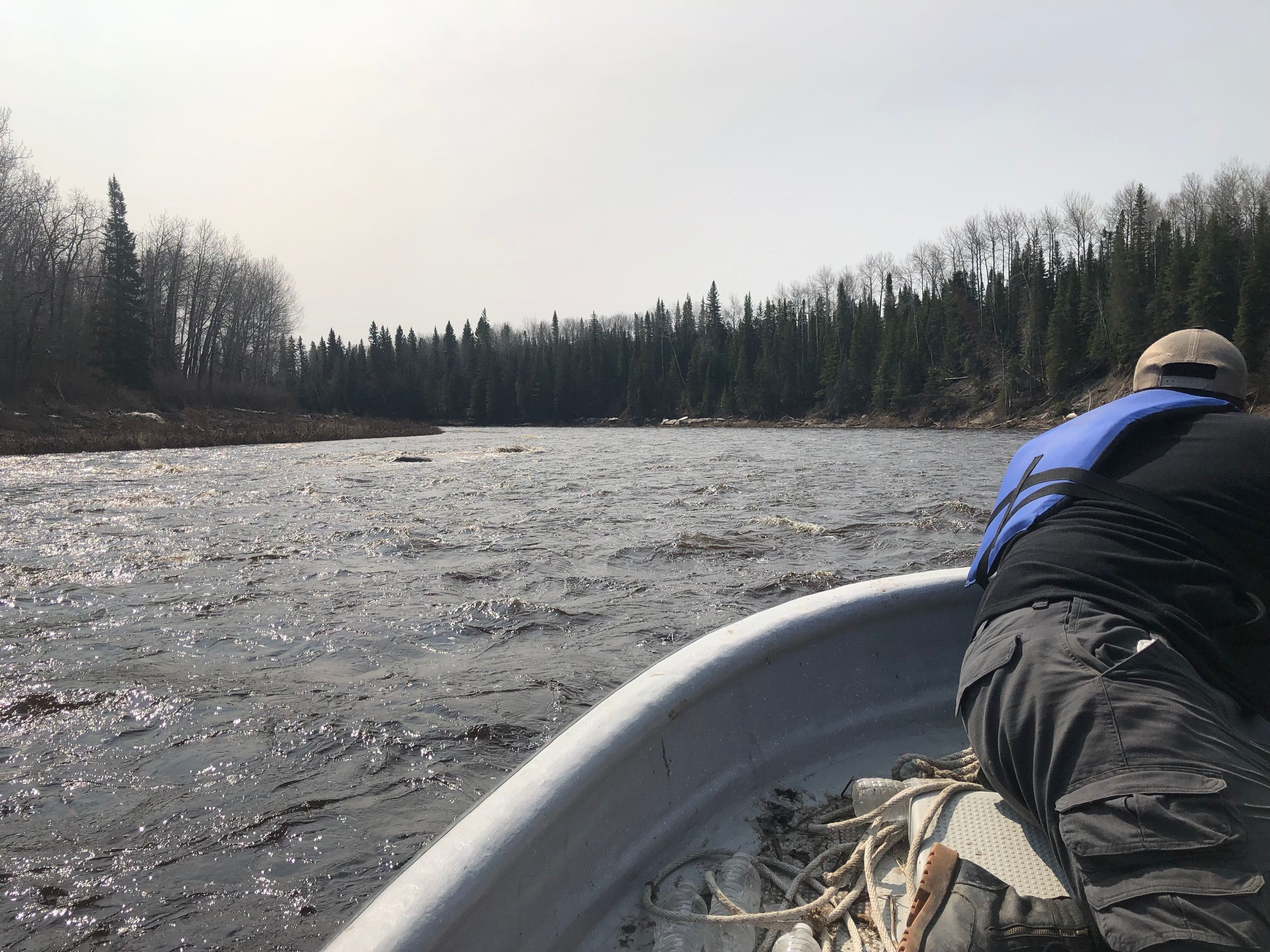 Keeping an eye out for rocks and snags in the rapids up the North French River
