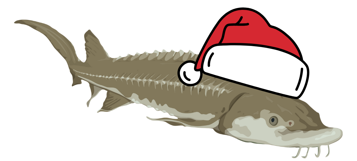 HOLIDAY JINGLE &amp; mINGLE