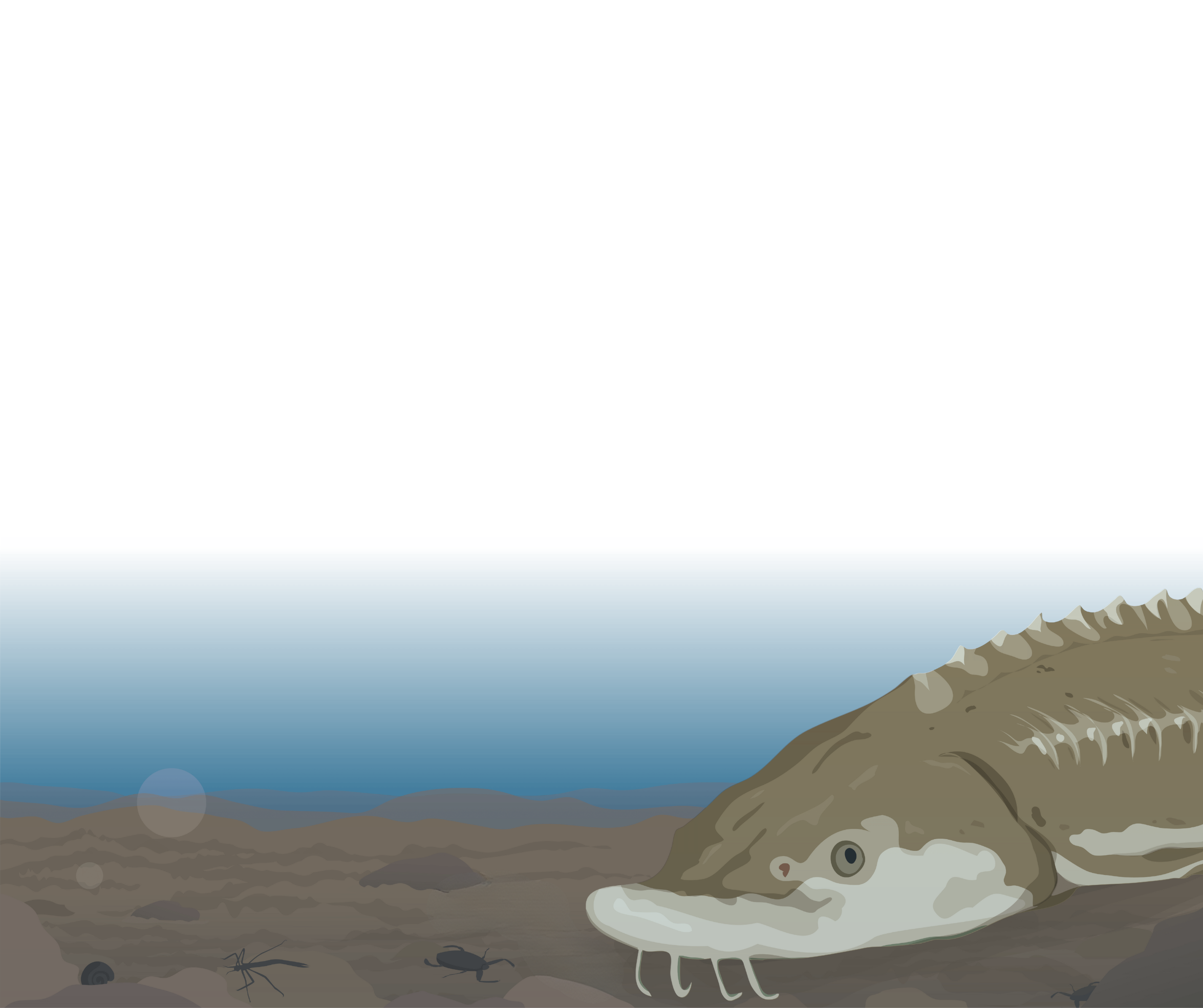 WHAT DO NAMEWAK DO IN THE WINTER?