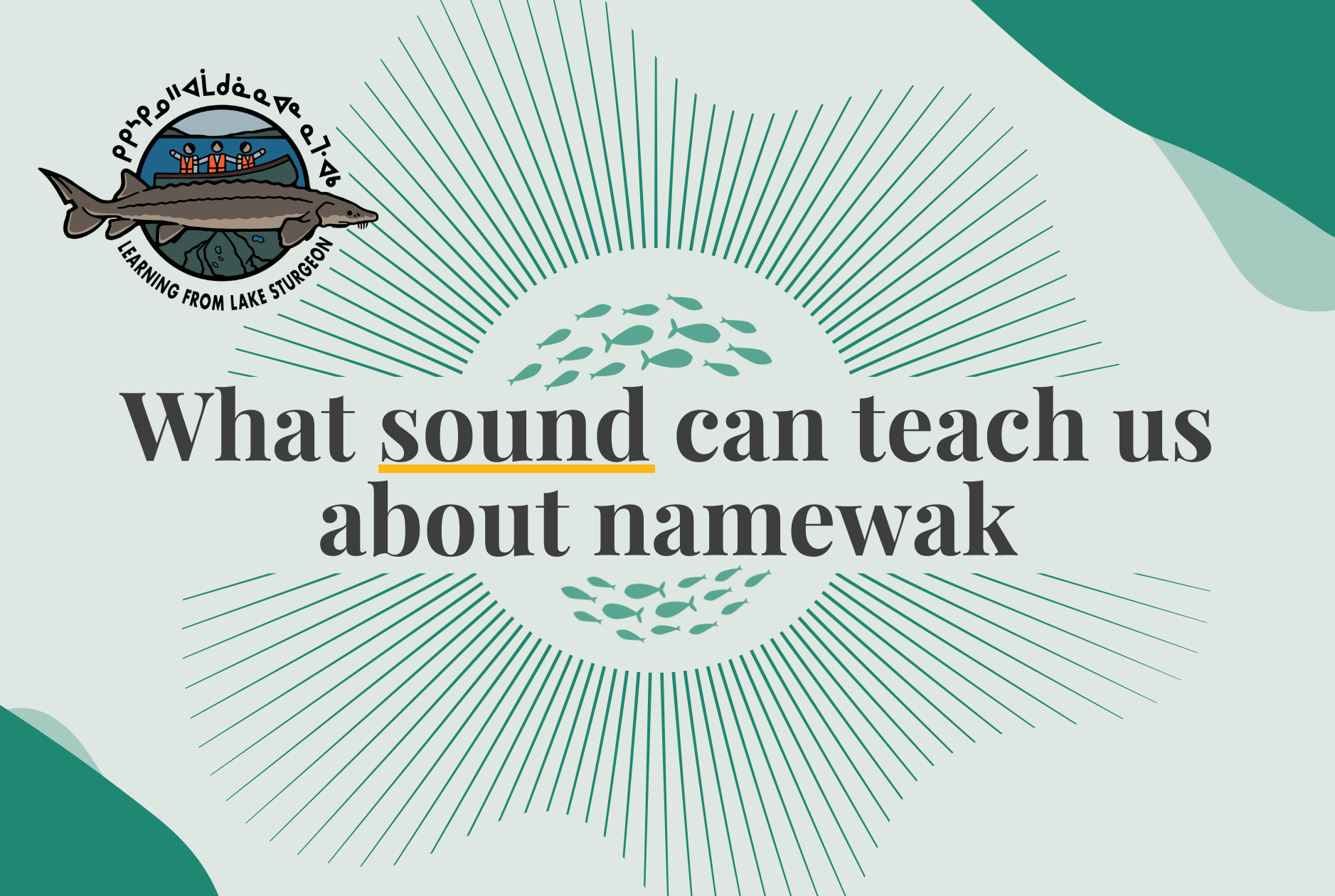 What Sound can Teach Us About Namewak (Lake Sturgeon)