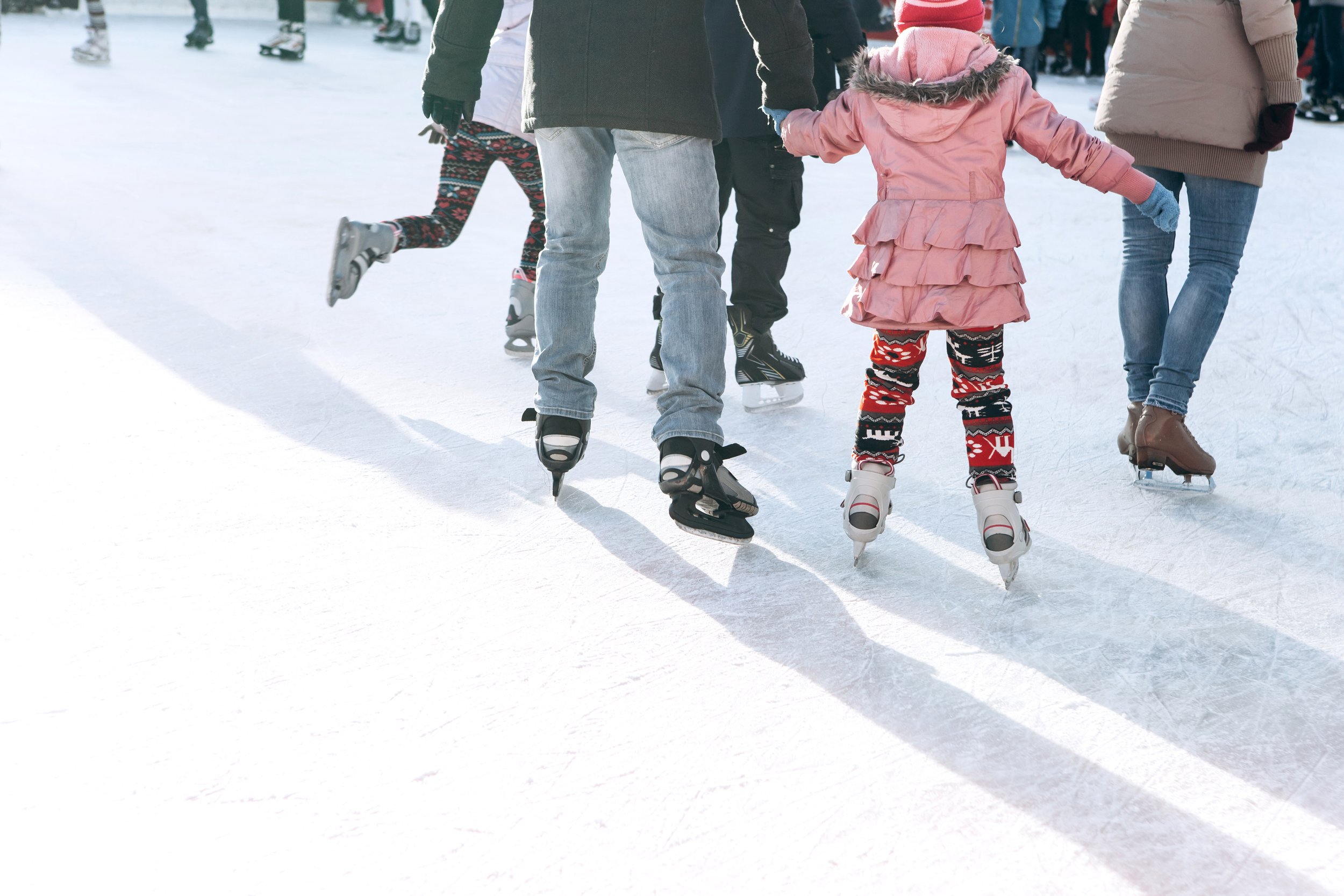 Skate Pass: Family