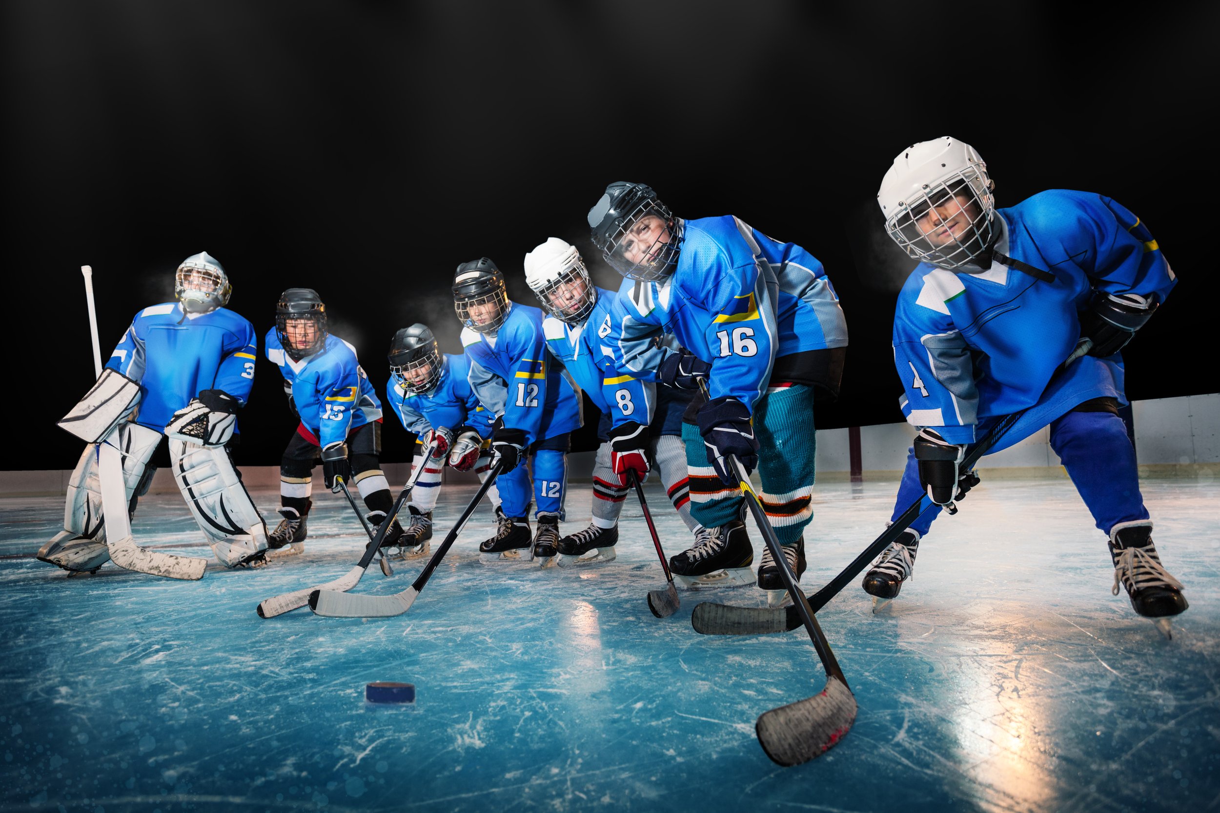 Fun Hockey Fees