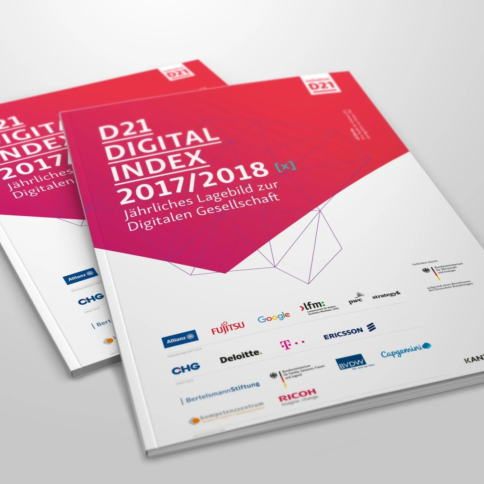 Publikation Digital Index D21
