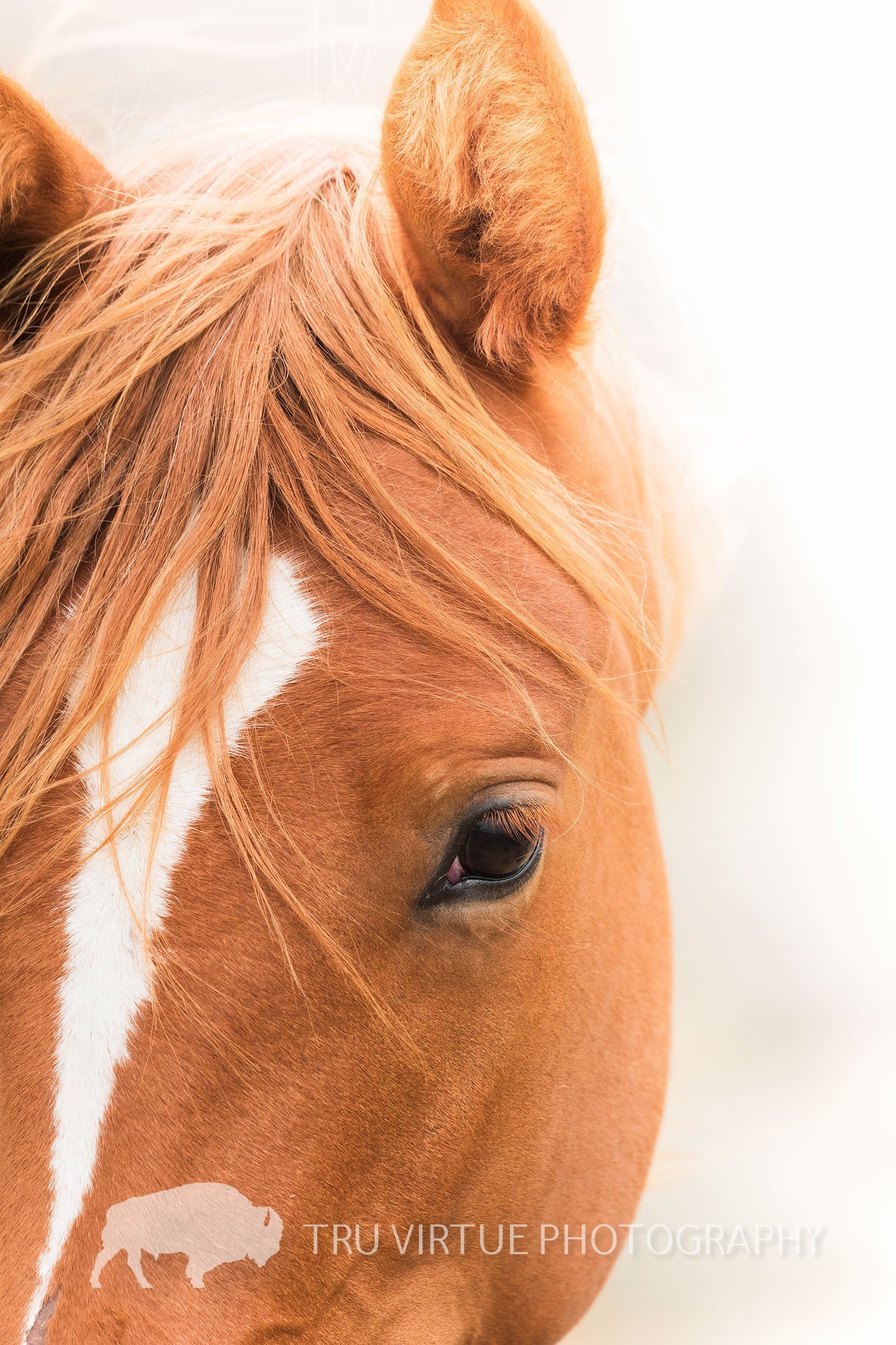 MARE_GLOW_WEB.jpg