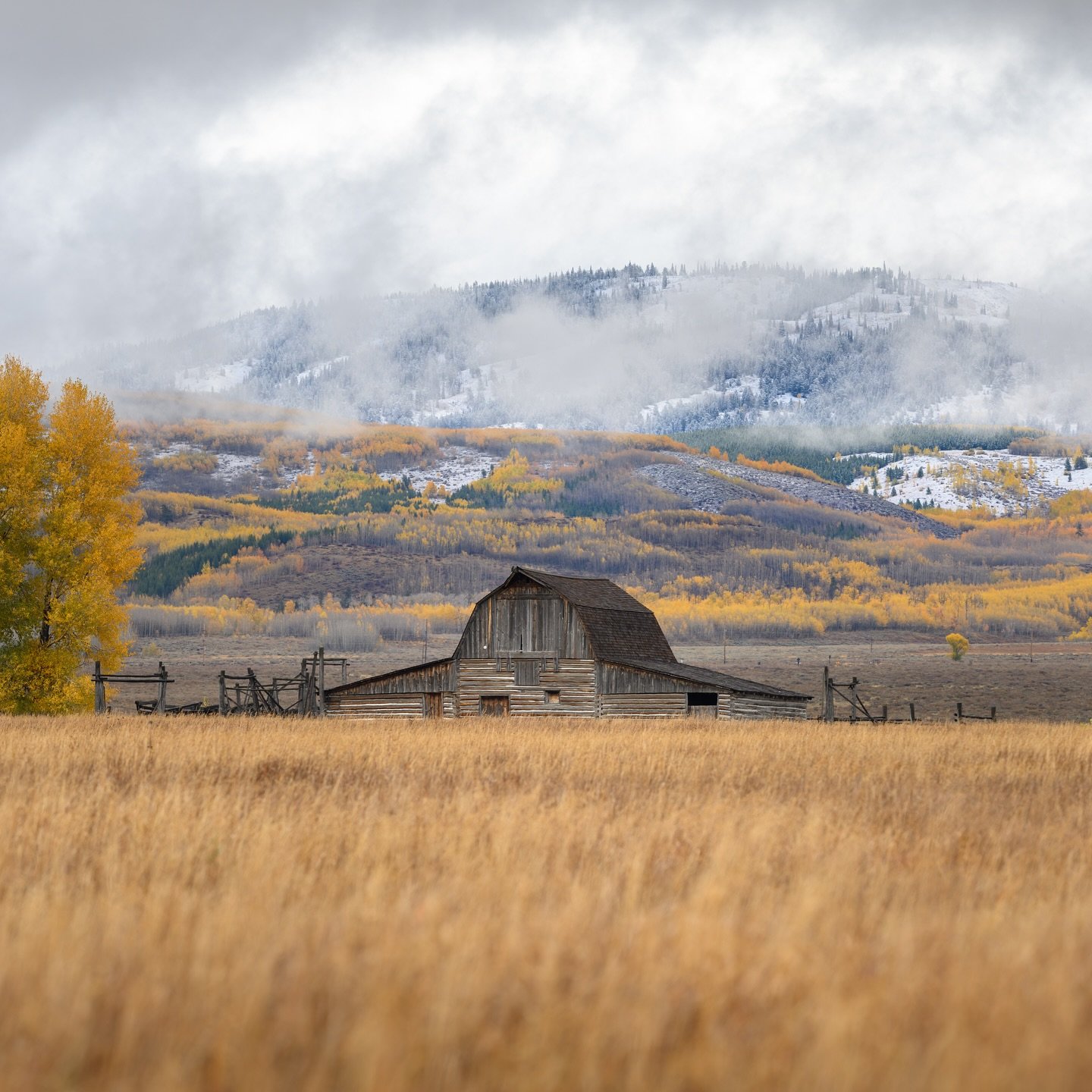 TURN OF THE SEASON🍂❄️
Ephemeral autumn colors highlight the hills behind John Moulton&rsquo;s old barn on Mormon Row. 

Technical stuff: #shotonnikon Z9 w/100-400 f/4-5.6
This panorama is composed of 24 photos to make HDR

❄️

🗻

🍁

#grandtetons #