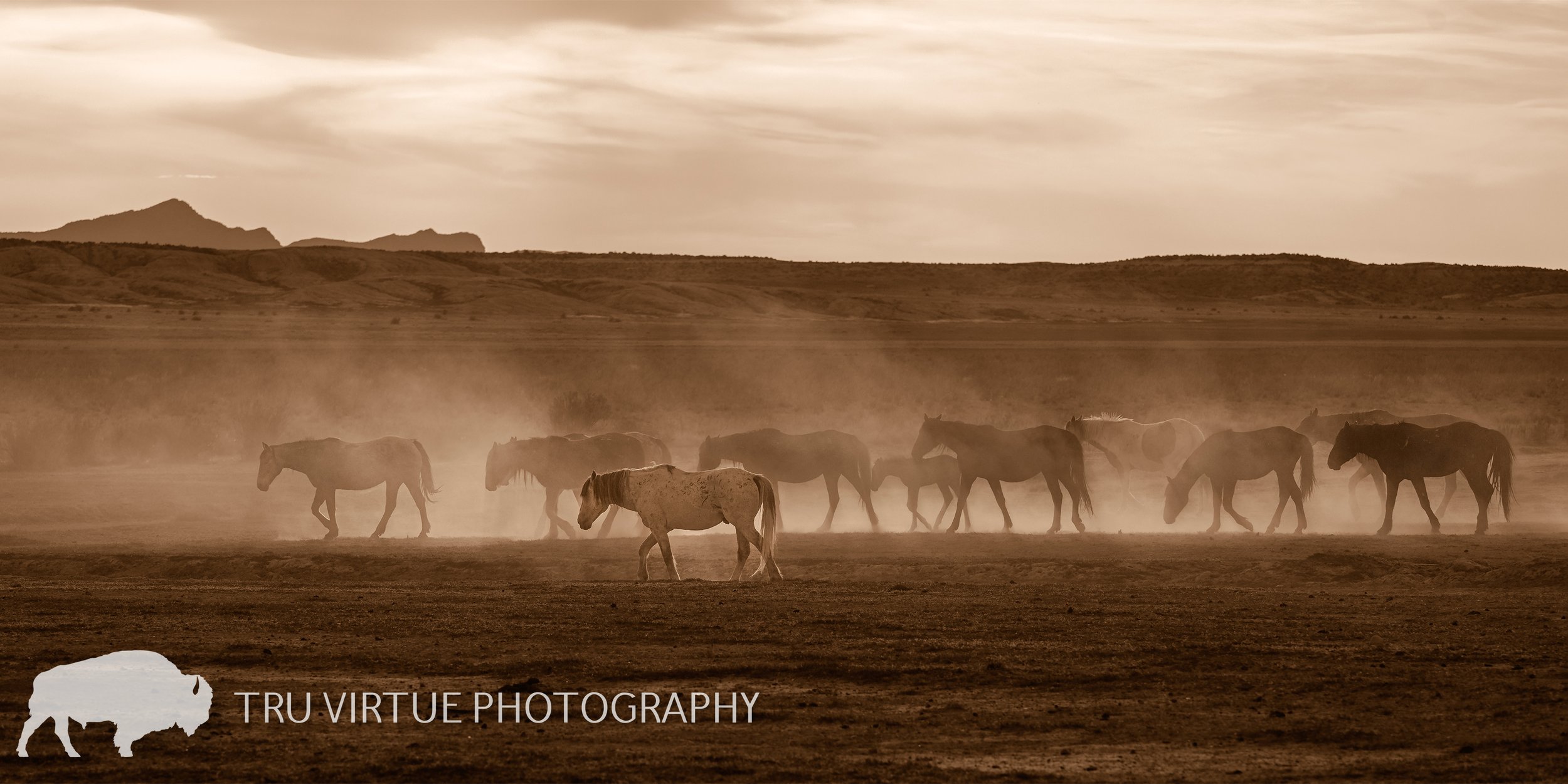 MARCHING_HOME_SEPIA_PANO_WATERMARK.jpg