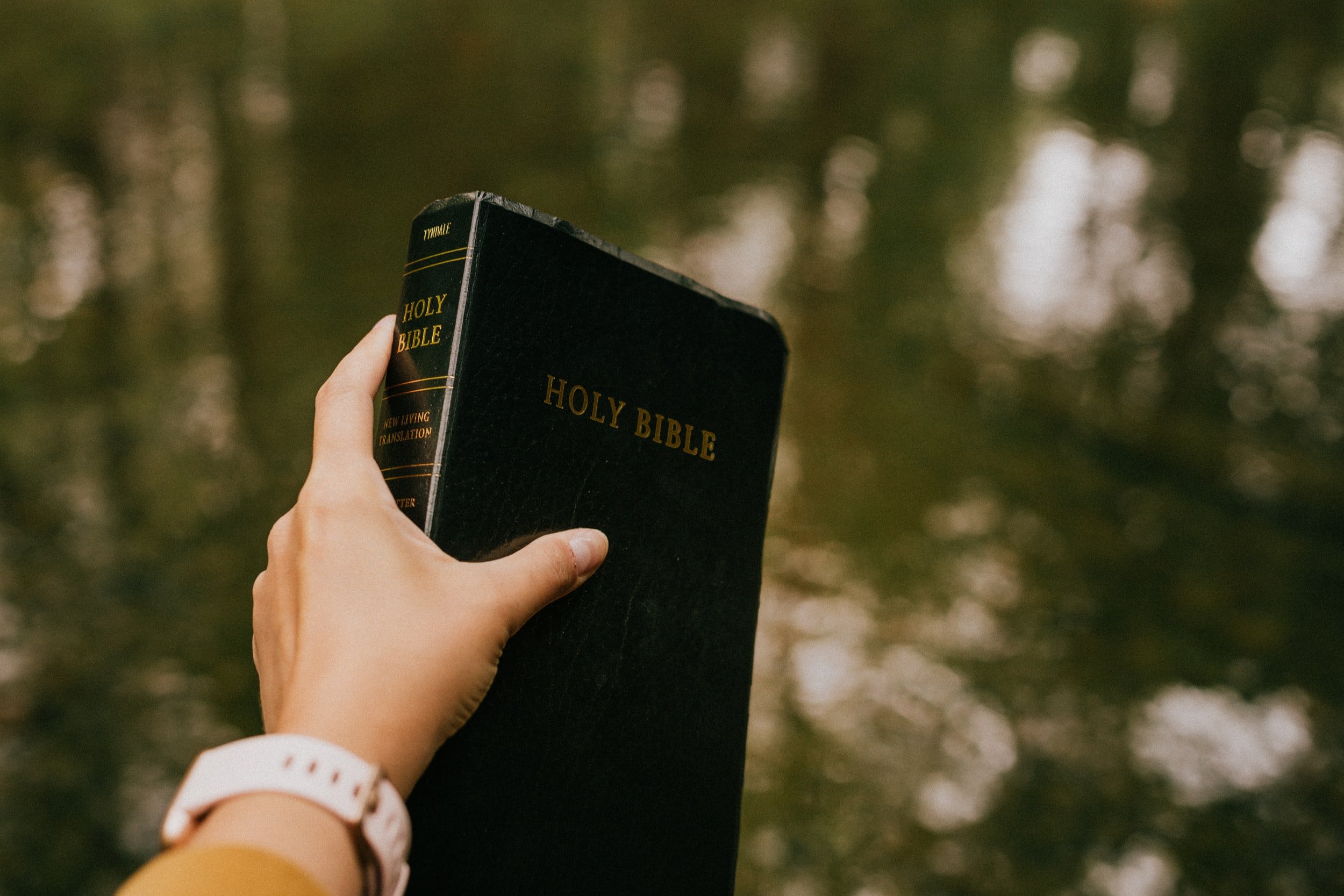 a hand holding a Bible that is often used in spiritual abuse