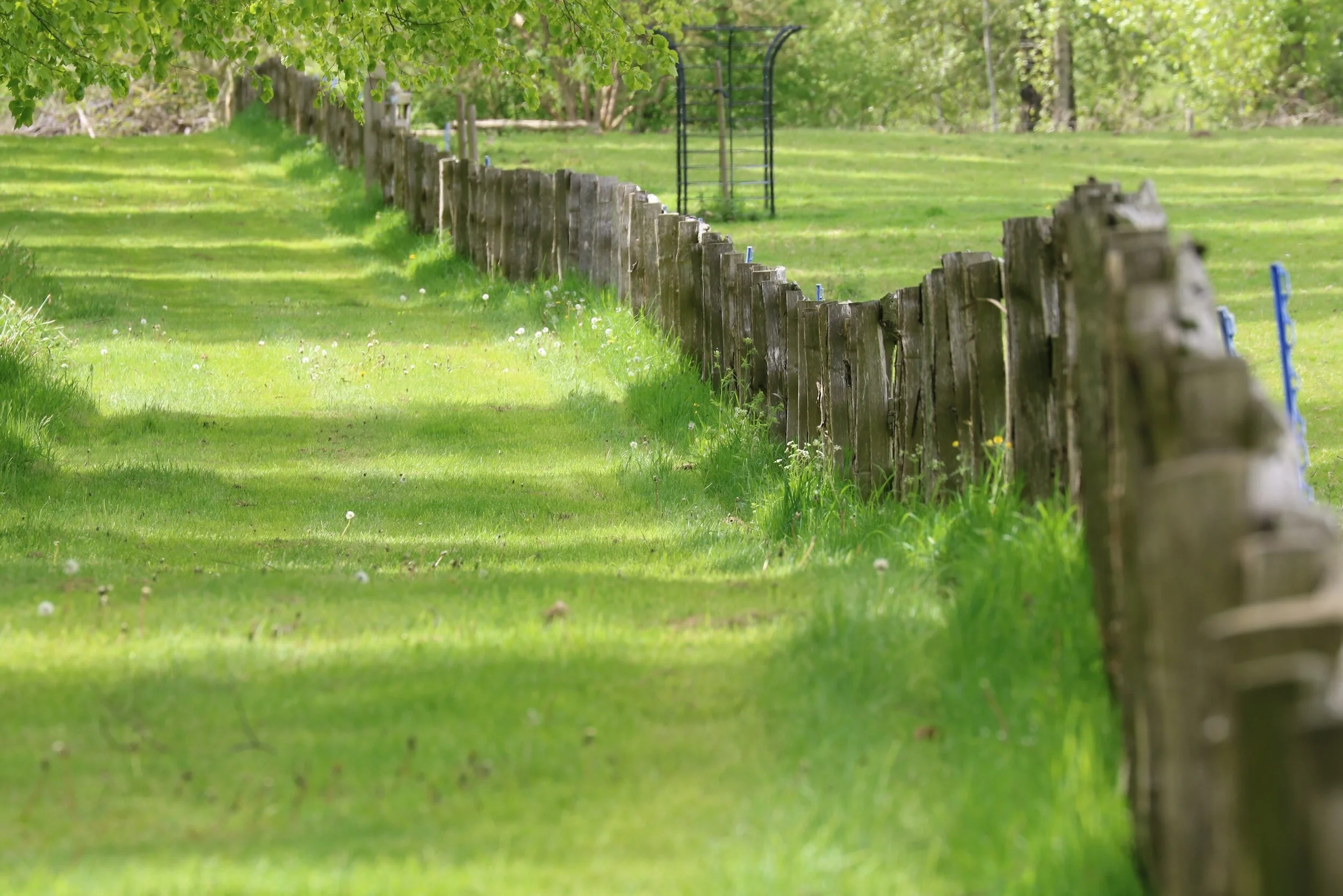 a fence that typifies the need to set boundaries to prevent spiritual abuse
