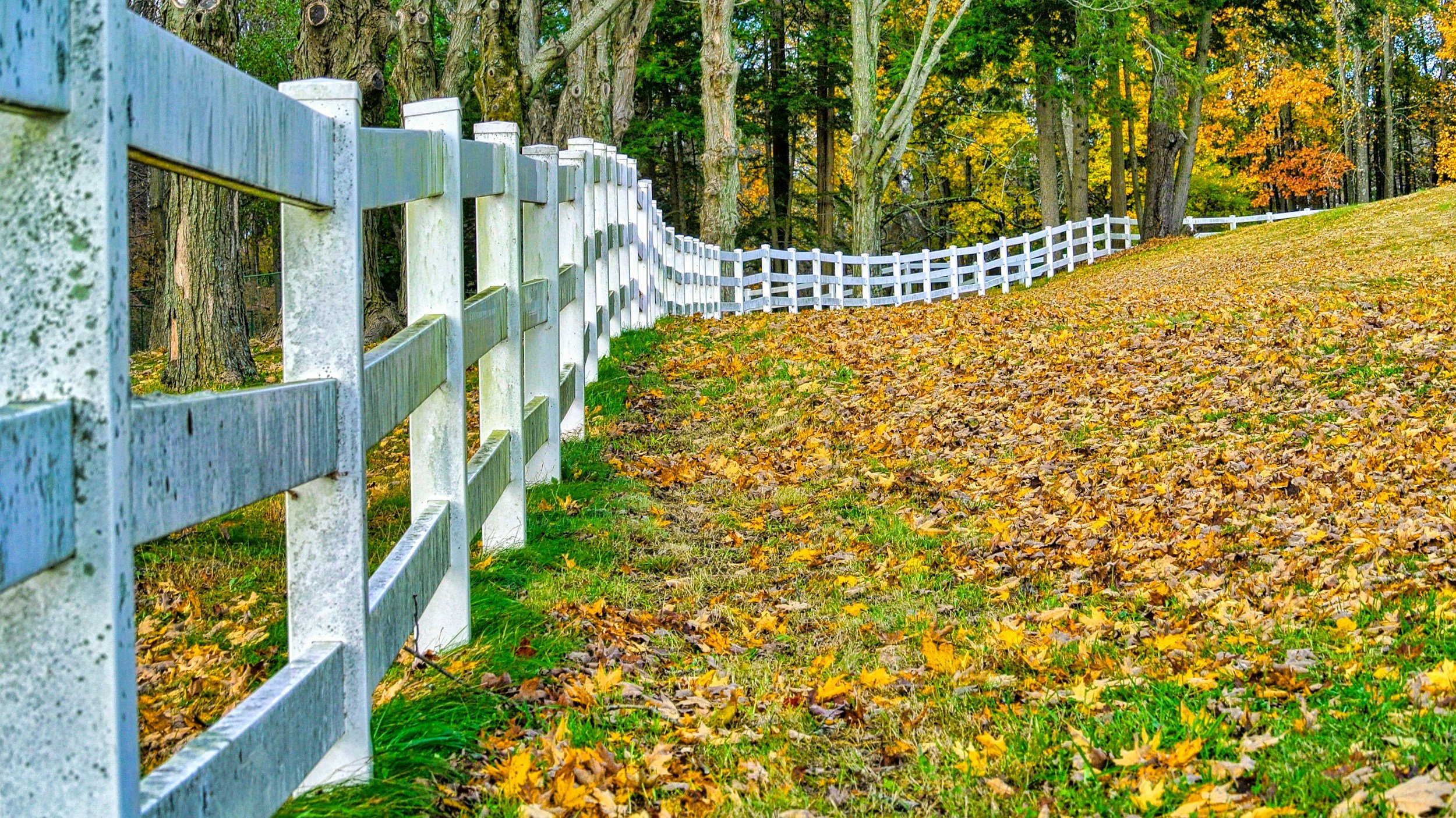 white fence implying the need for healthy boundaries
