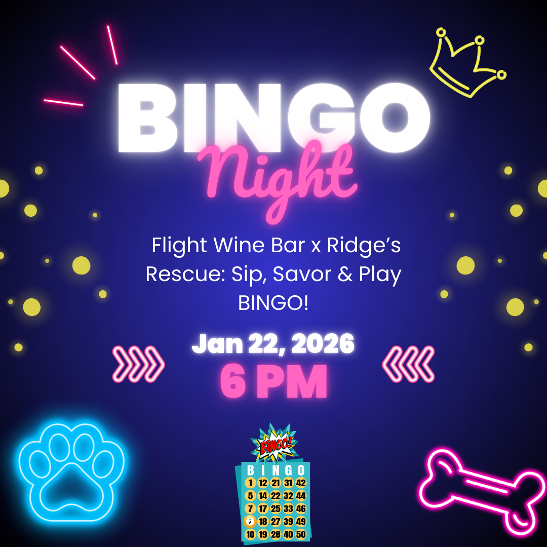  Bingo & Bubbles with Flight Wine Bar!