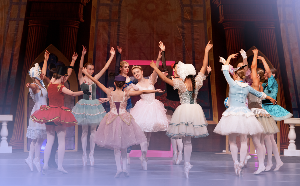 Ballet Conservatory of Wisconsin — Brookfield Brio Studios