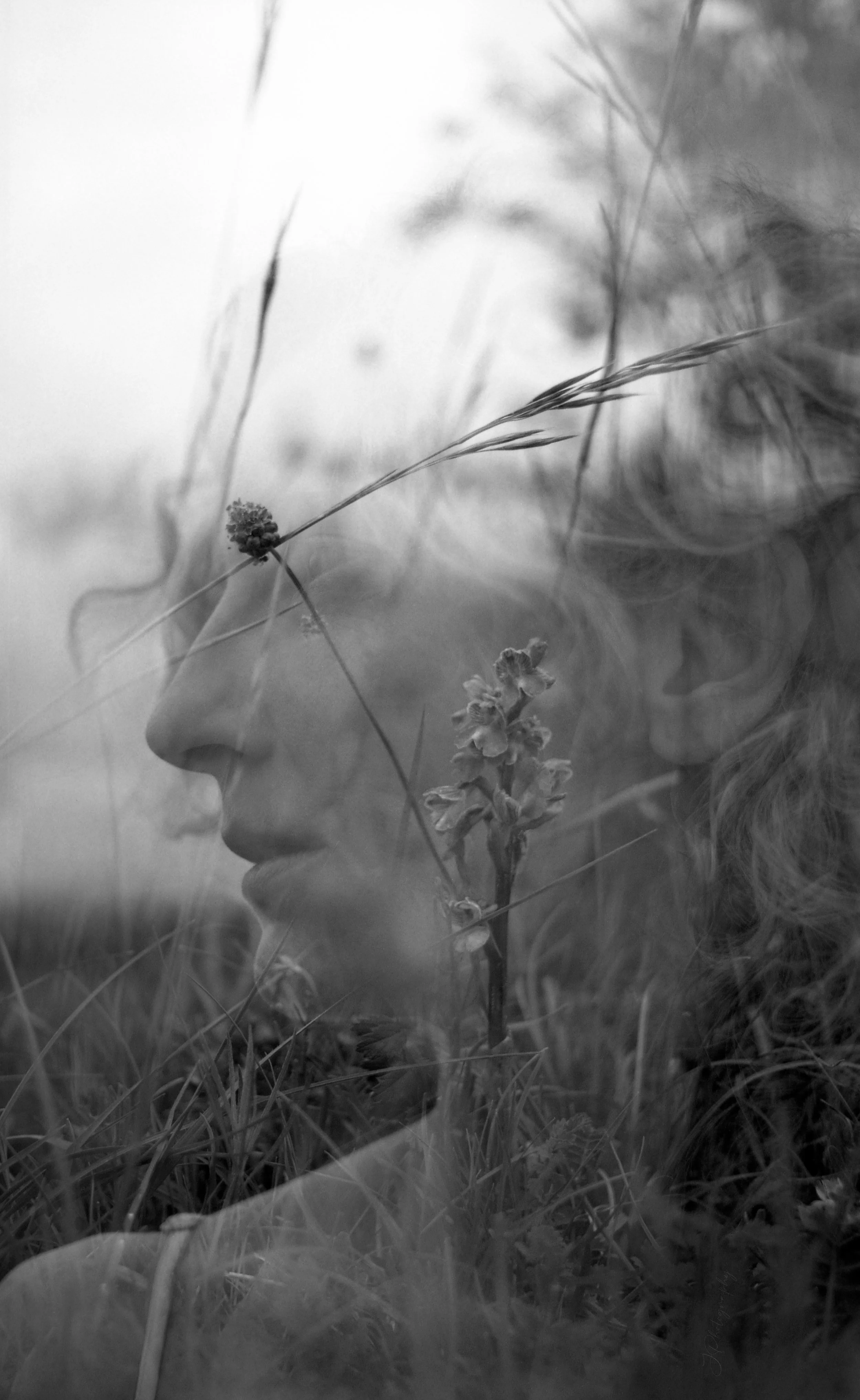 Une photo artistique en noir et blanc d'un profil de visage féminin superposé avec de la végétation, comme des herbes et des fleurs, créant un effet double exposure.