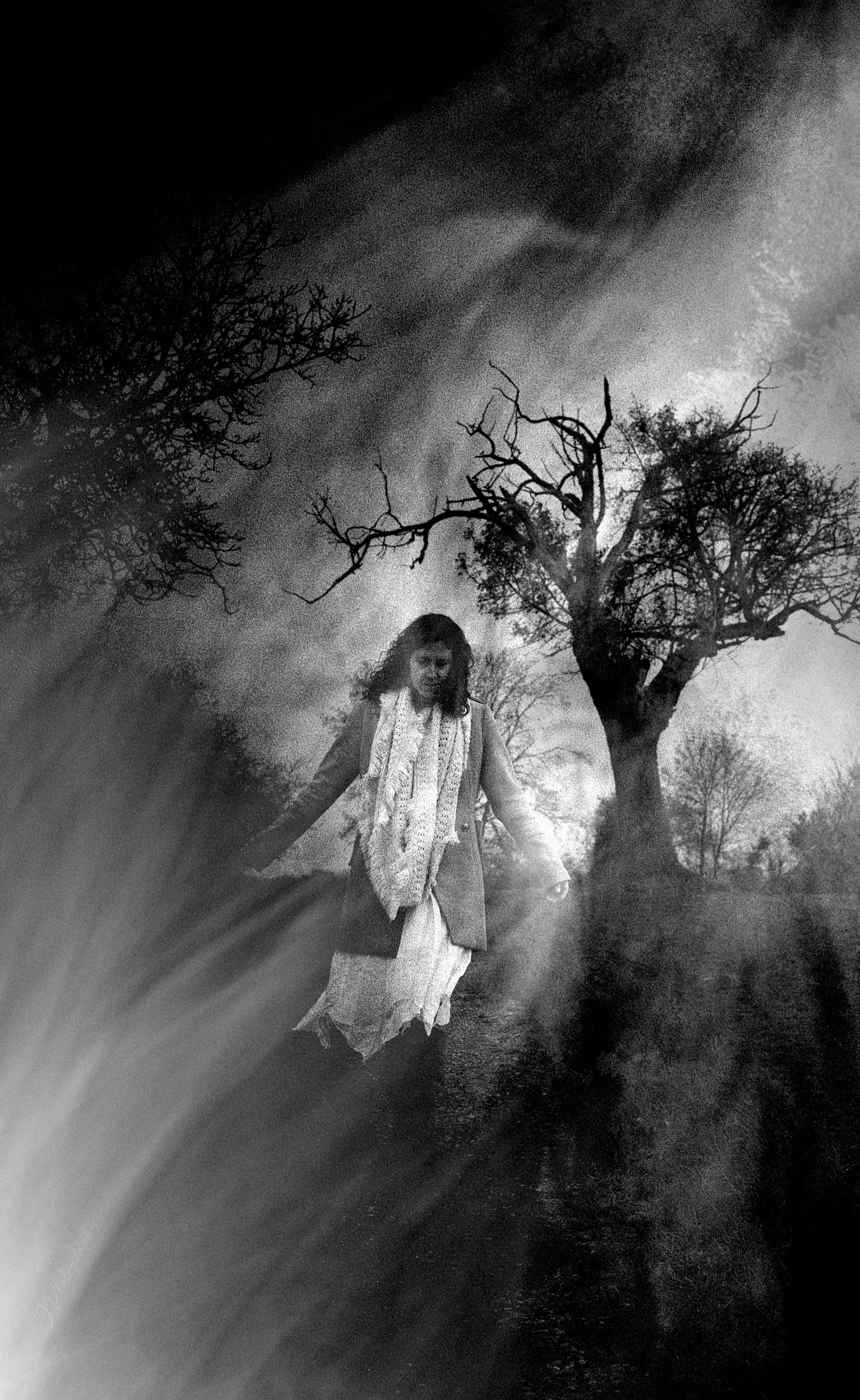 Femme marchant dans un paysage sombre et brumeux avec des arbres nus, en noir et blanc, atmosphère mystérieuse et mélancolique.