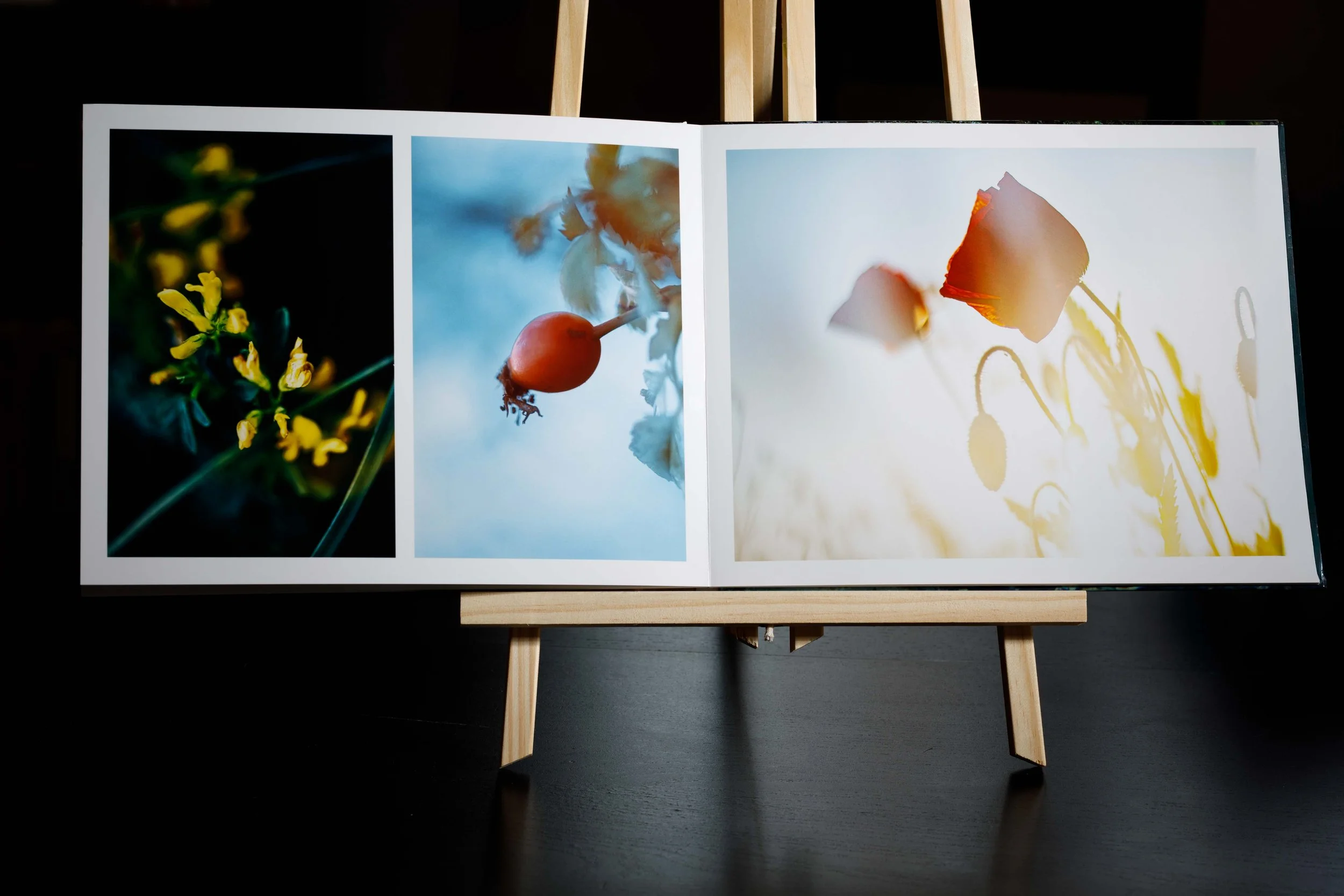 LIVRE 2 PACKSHOT-2.jpg