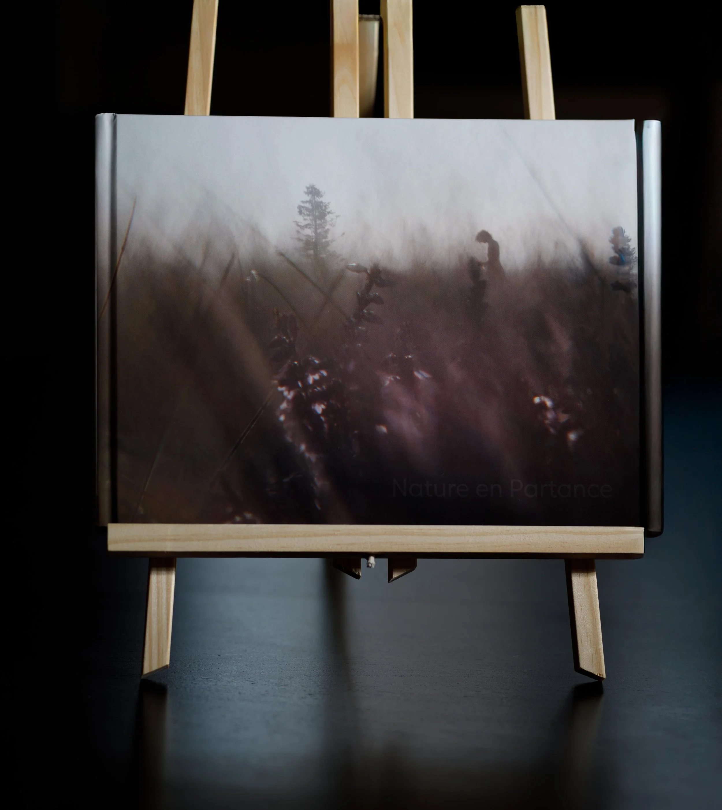LIVRE PHOTO A4 "NATURE EN PARTANCE"