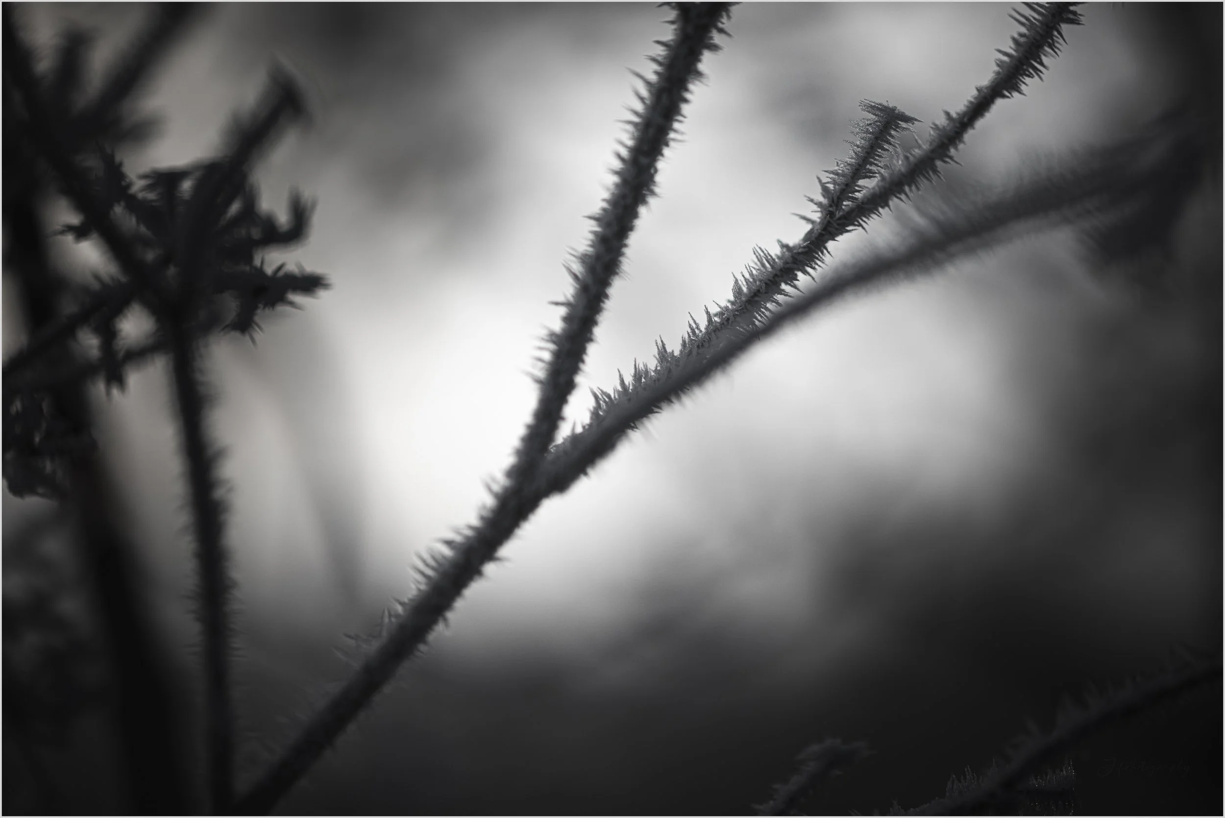 Et si on disait adieu à l’hiver ?