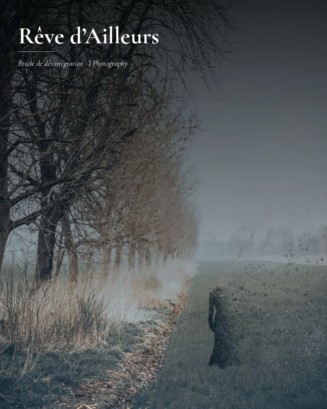 Autrement - 
Elle avance encore, mais le chemin ne la ram&egrave;nera pas enti&egrave;re.

Cette image poursuit la m&ecirc;me intention onirique que les pr&eacute;c&eacute;dentes : une photographie pictorialiste et impressionniste, o&ugrave; le geste