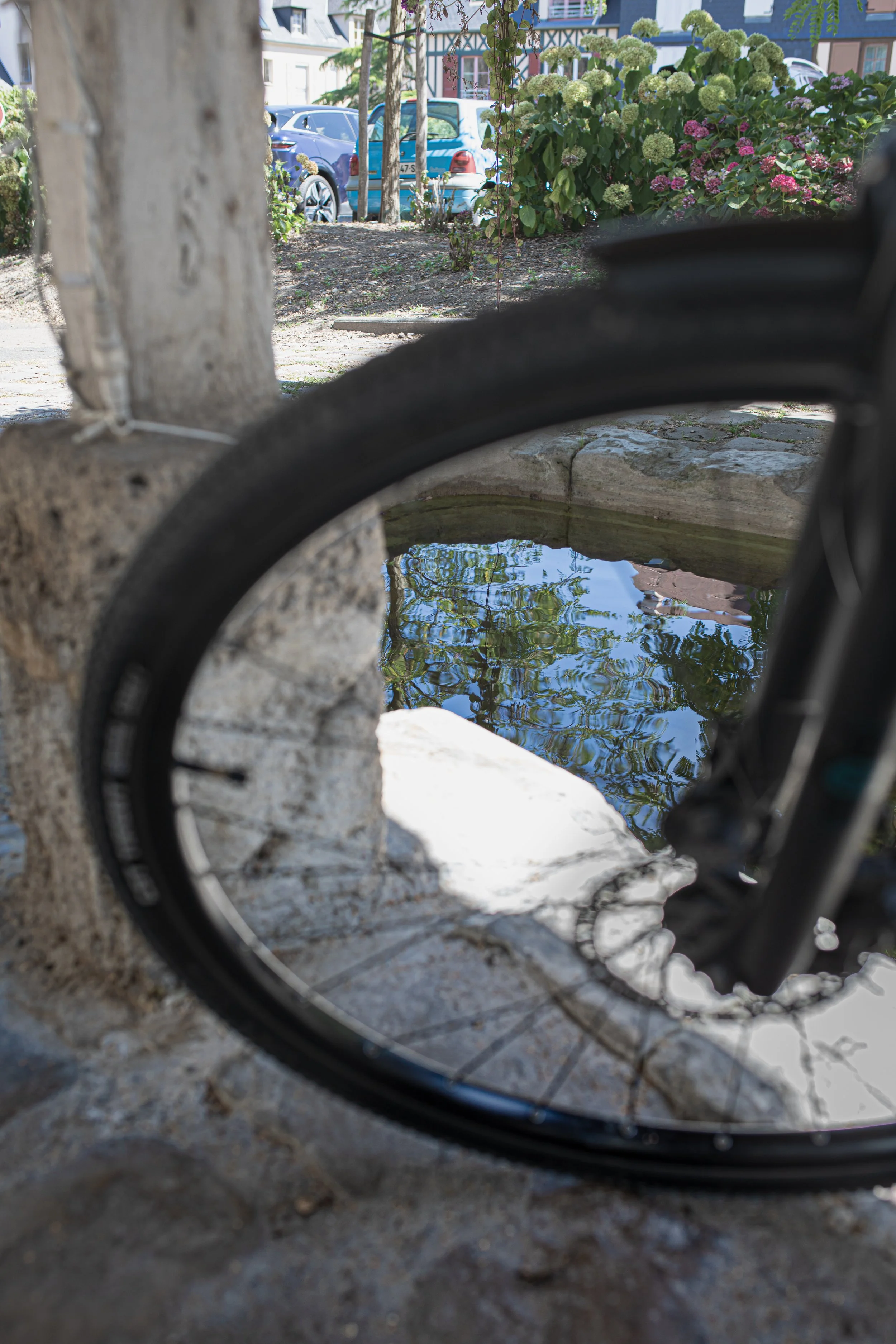 Street photography, Honfleur