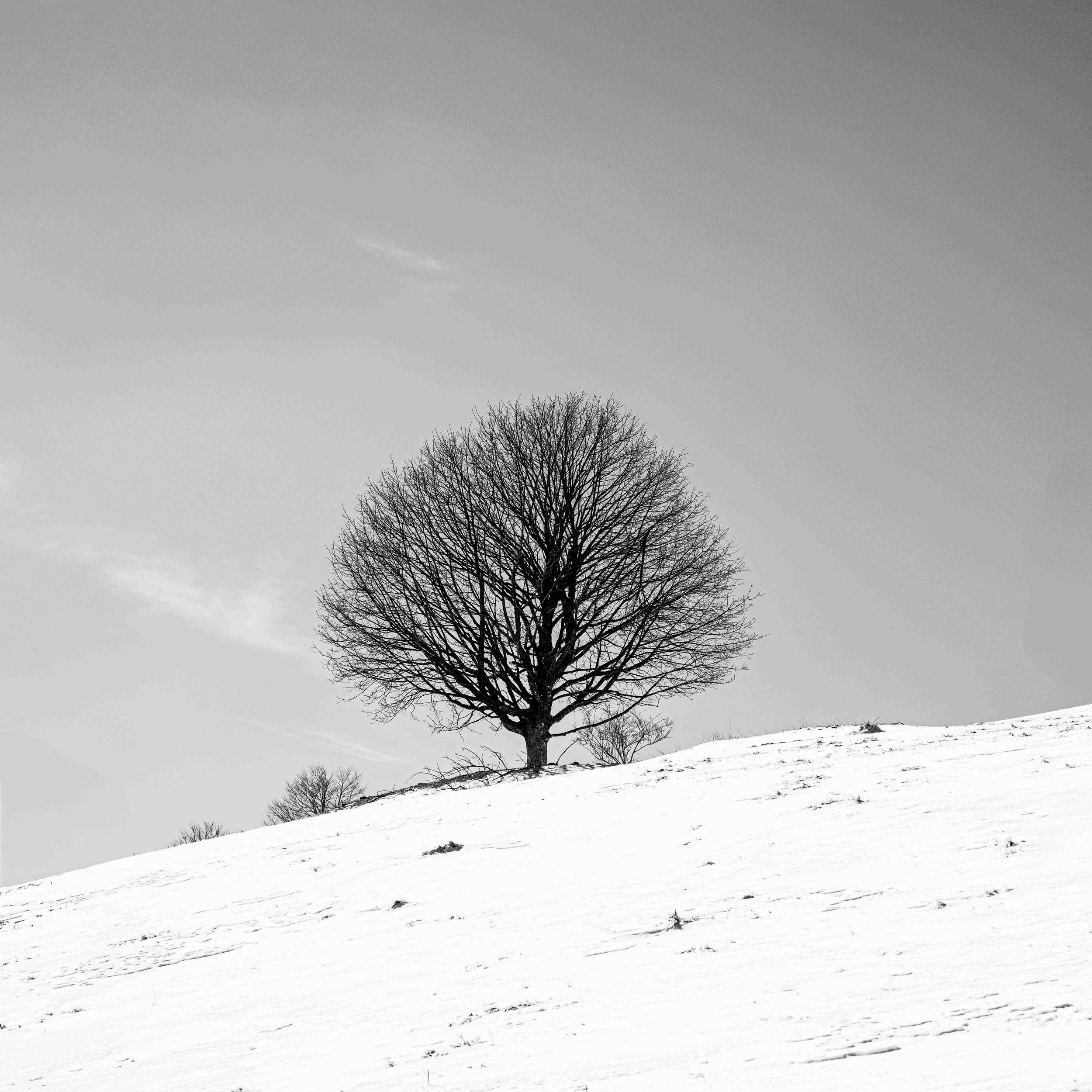 Col du Hundsrück, hiver 2024.