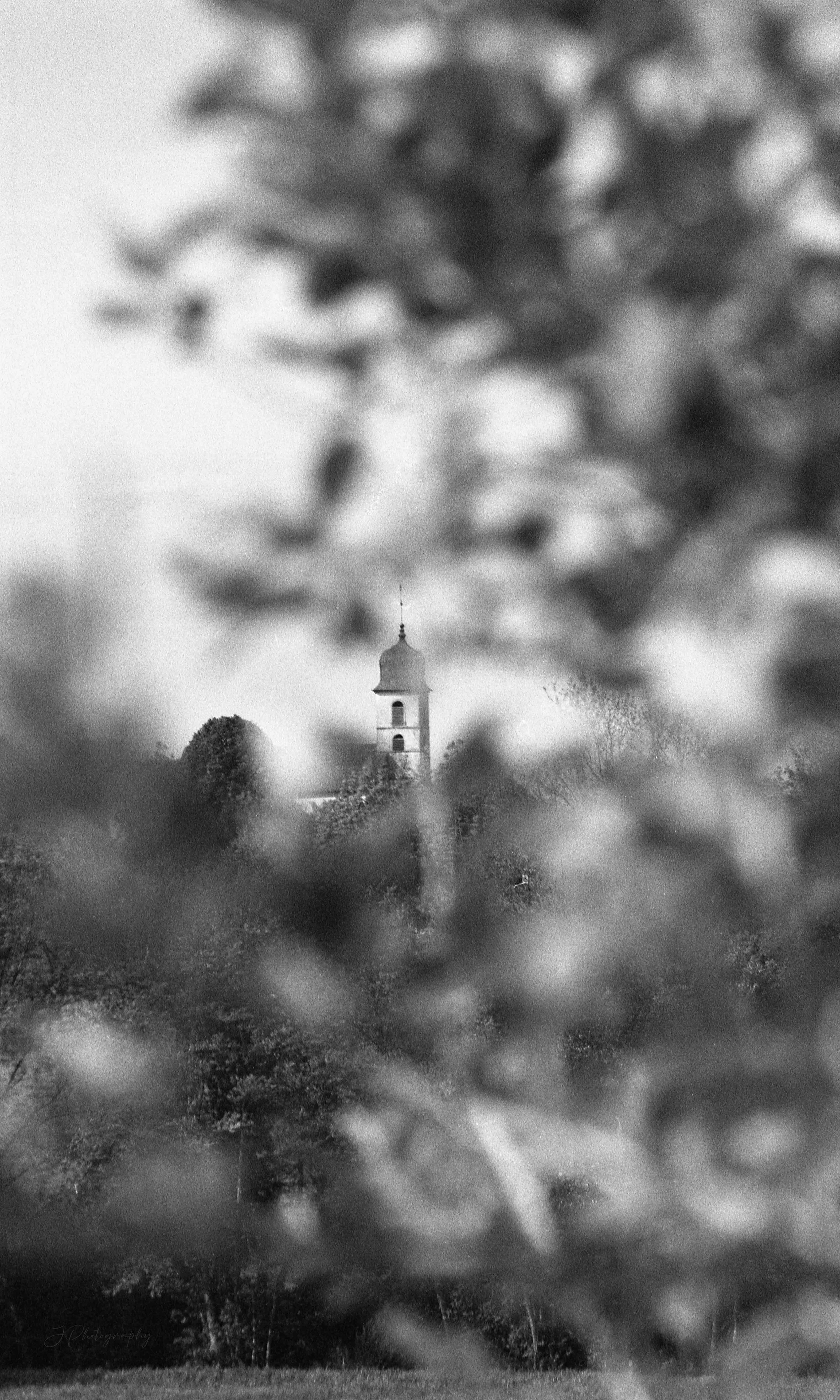 Depuis les champs, Monnet-la-ville, Jura. 2023.