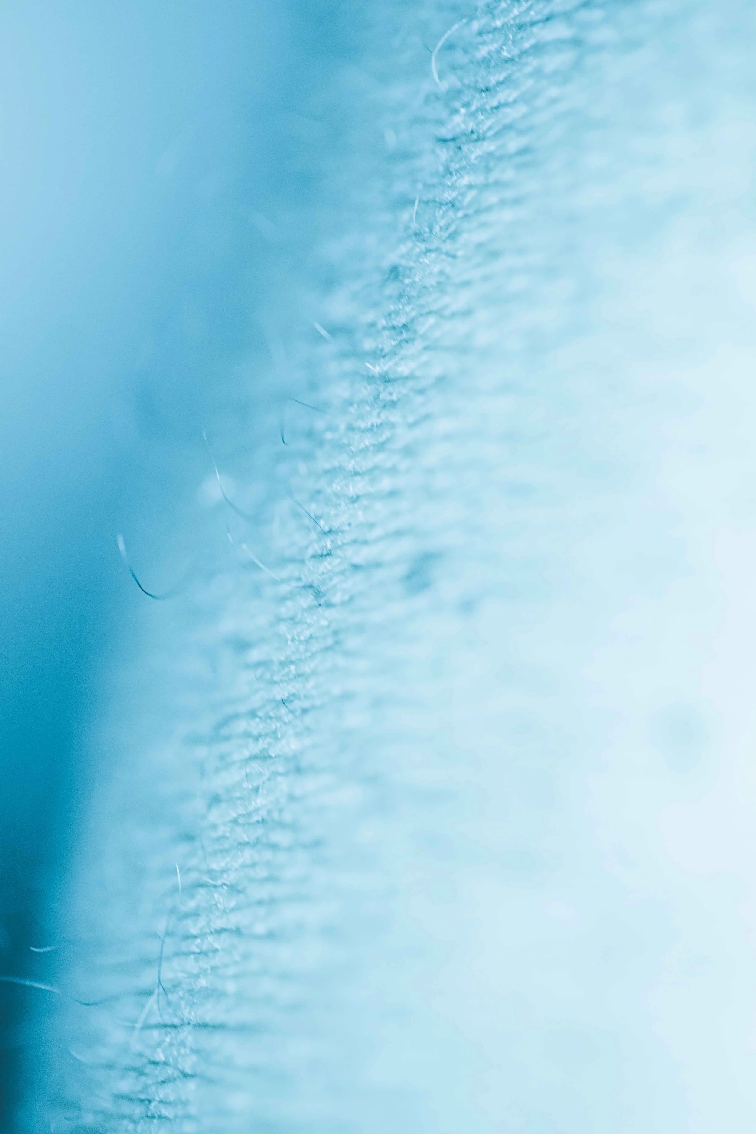 Gros plan d'un tissu en coton bleu clair avec des fibres visibles et un ourlet.