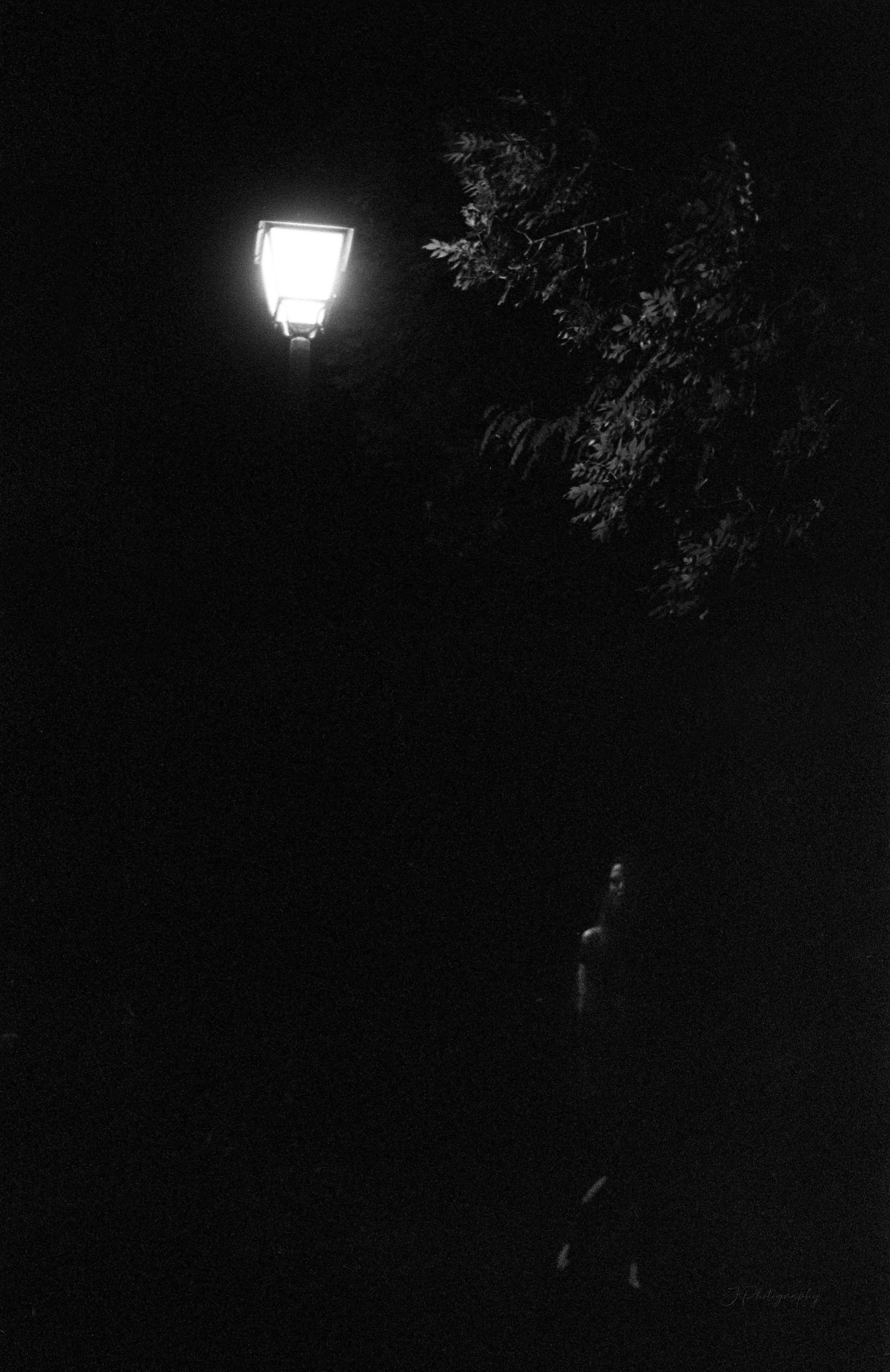 Un lampadaire éclairant la nuit avec un arbre à proximité dans le noir.
