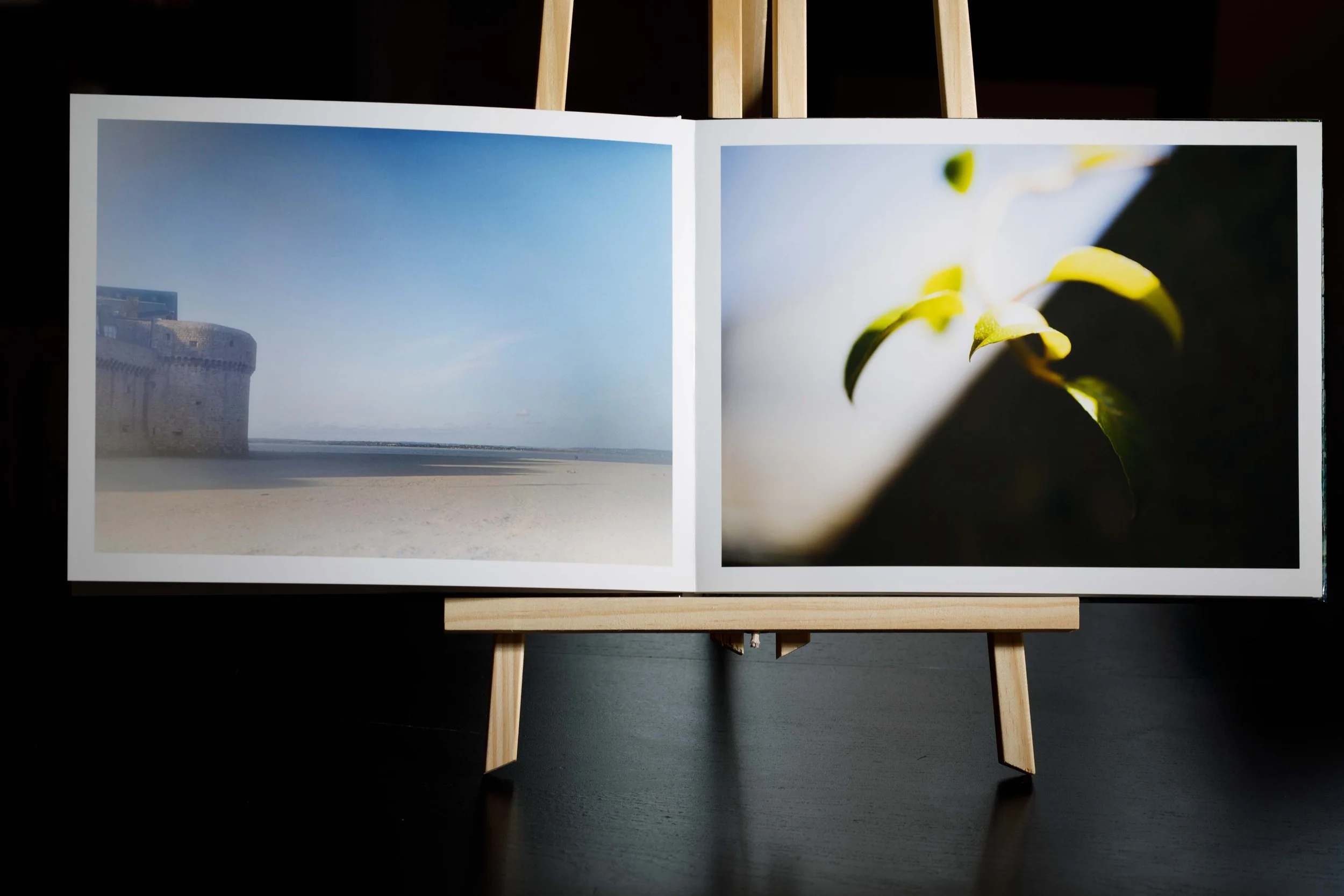 LIVRE 2 PACKSHOT-5.jpg