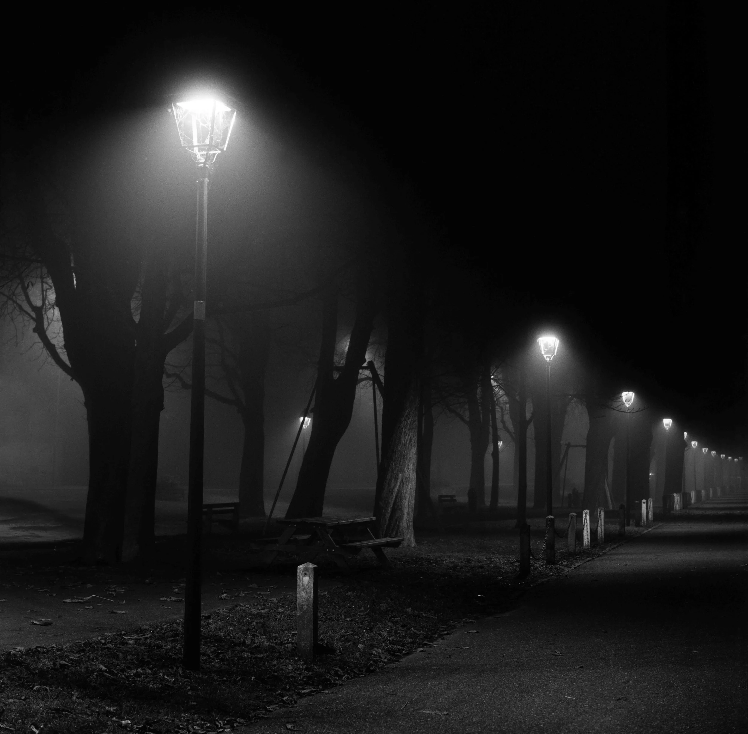 lampadaire dans un parc la nuit, arbres en arrière-plan, sol pavé, ambiance sombre et calme.