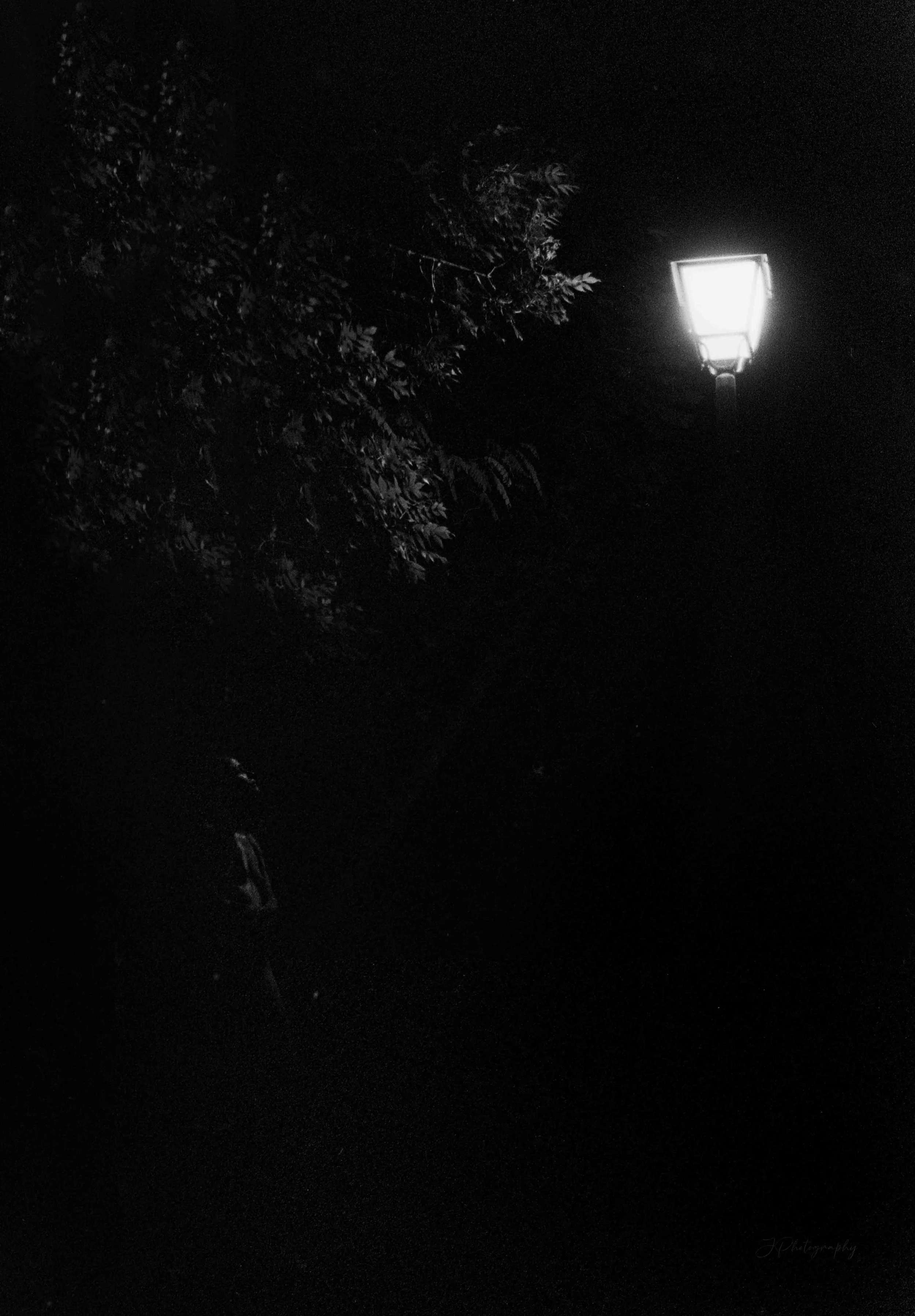 Un lampadaire lumineux dans une nuit sombre avec des branches d'arbres en arrière-plan.