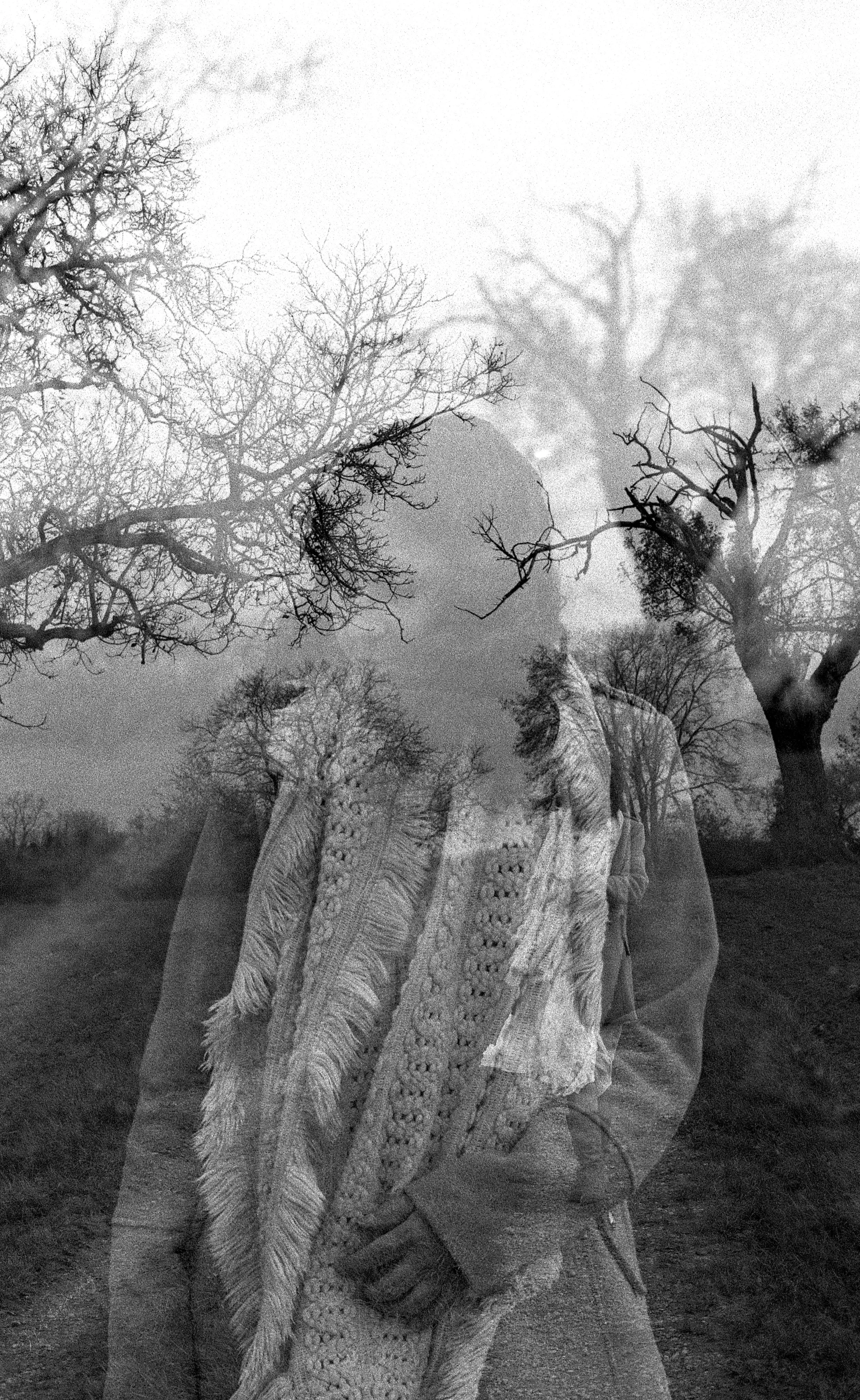 Une double exposition d'une personne et d'arbres dénudés dans un paysage rural en noir et blanc.