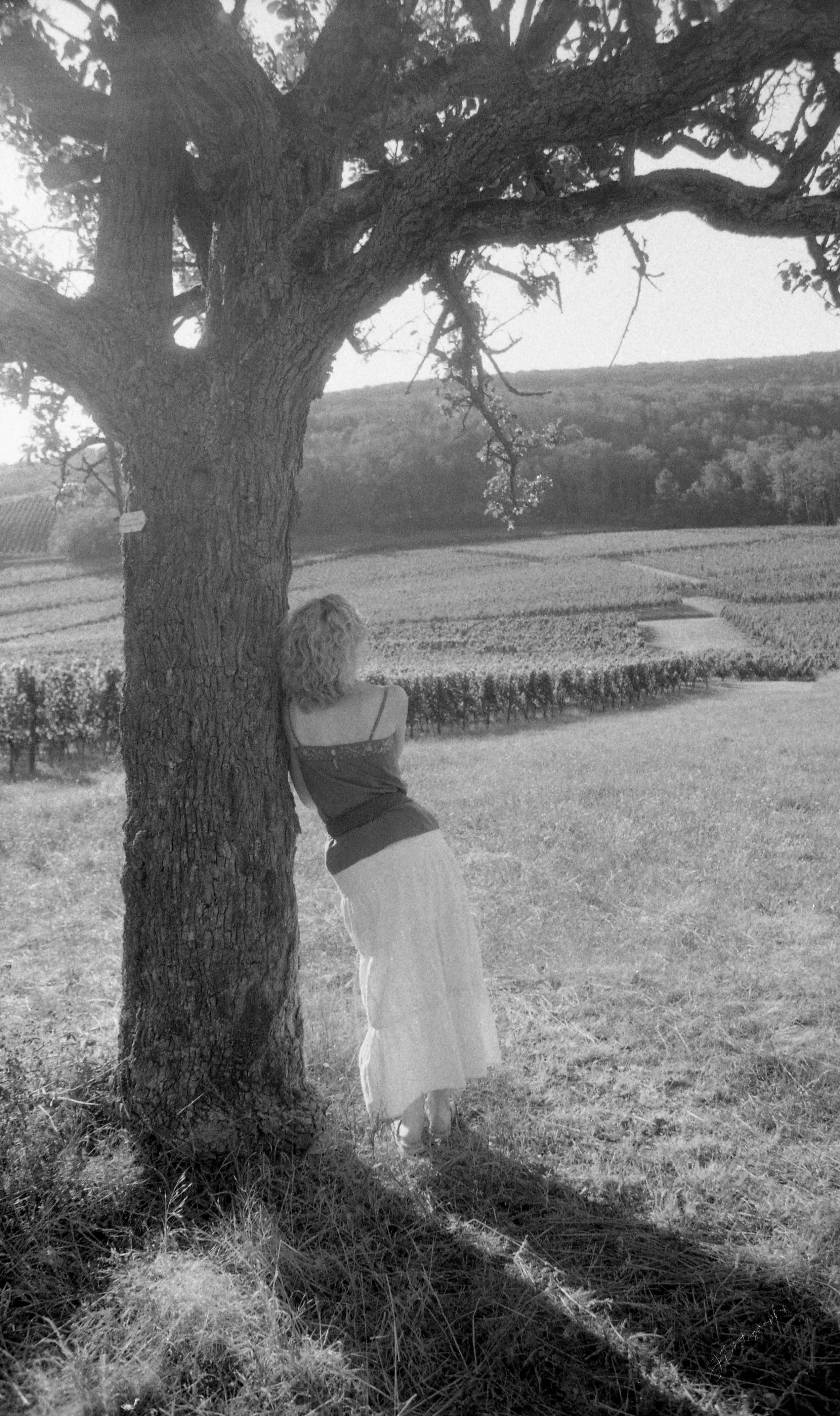 Un moment à te contempler, une fin d'après-midi avec Julie. Septembre 2022.