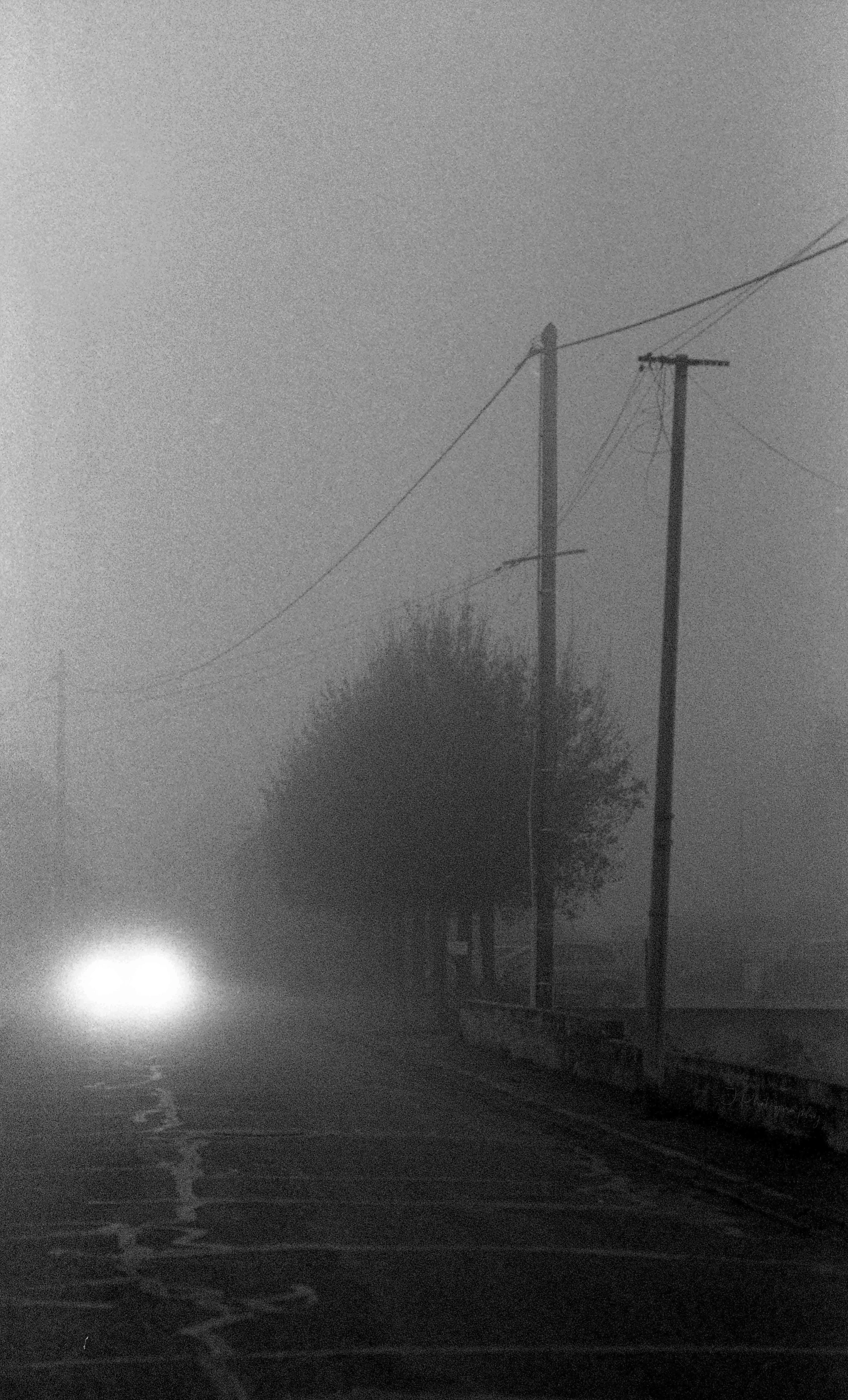 Rouffach dans le brouillard, hiver 2024.