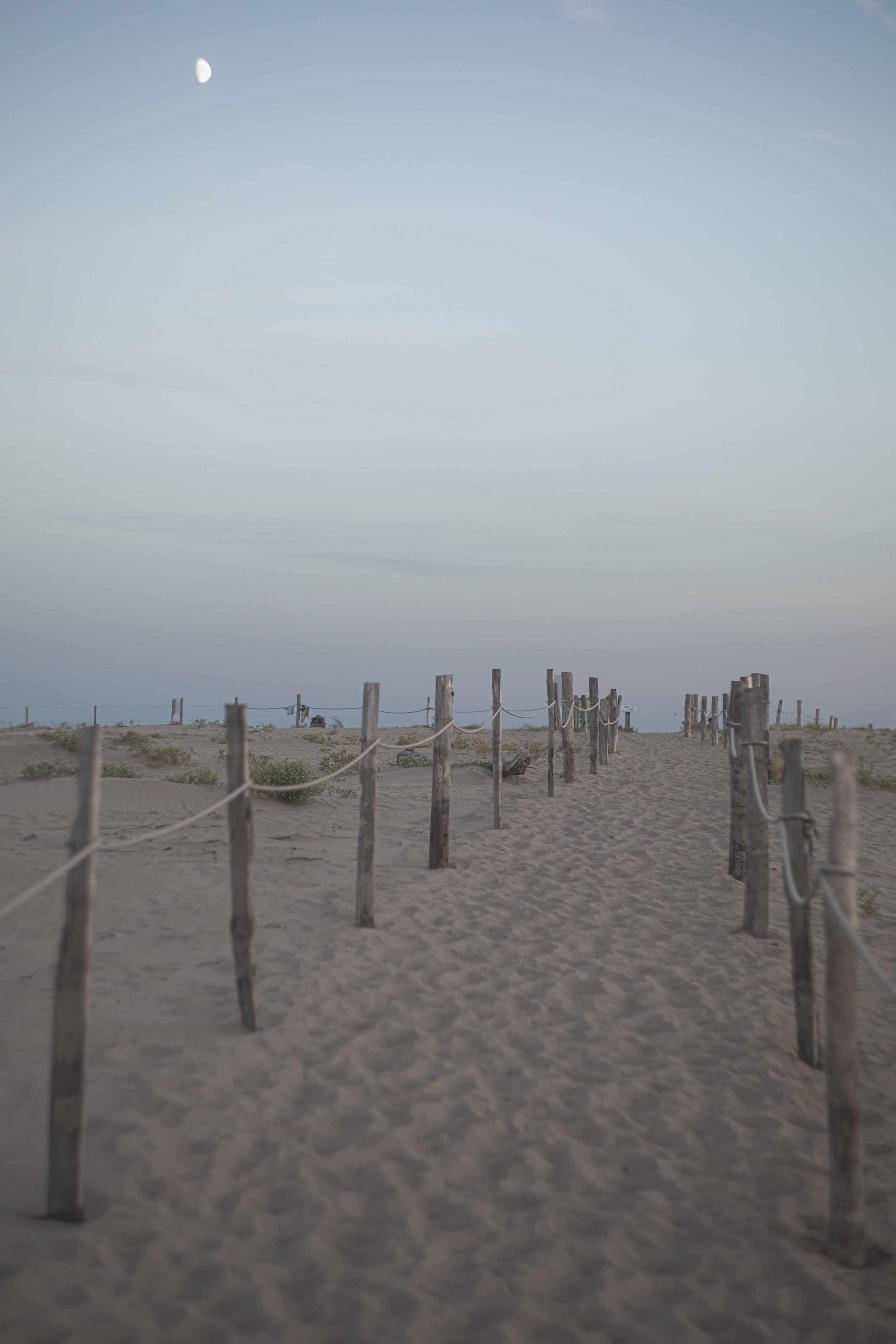 Paysage de lagune à la fin du jour, Presqu'île de l'Aiguillon, été 2025.
