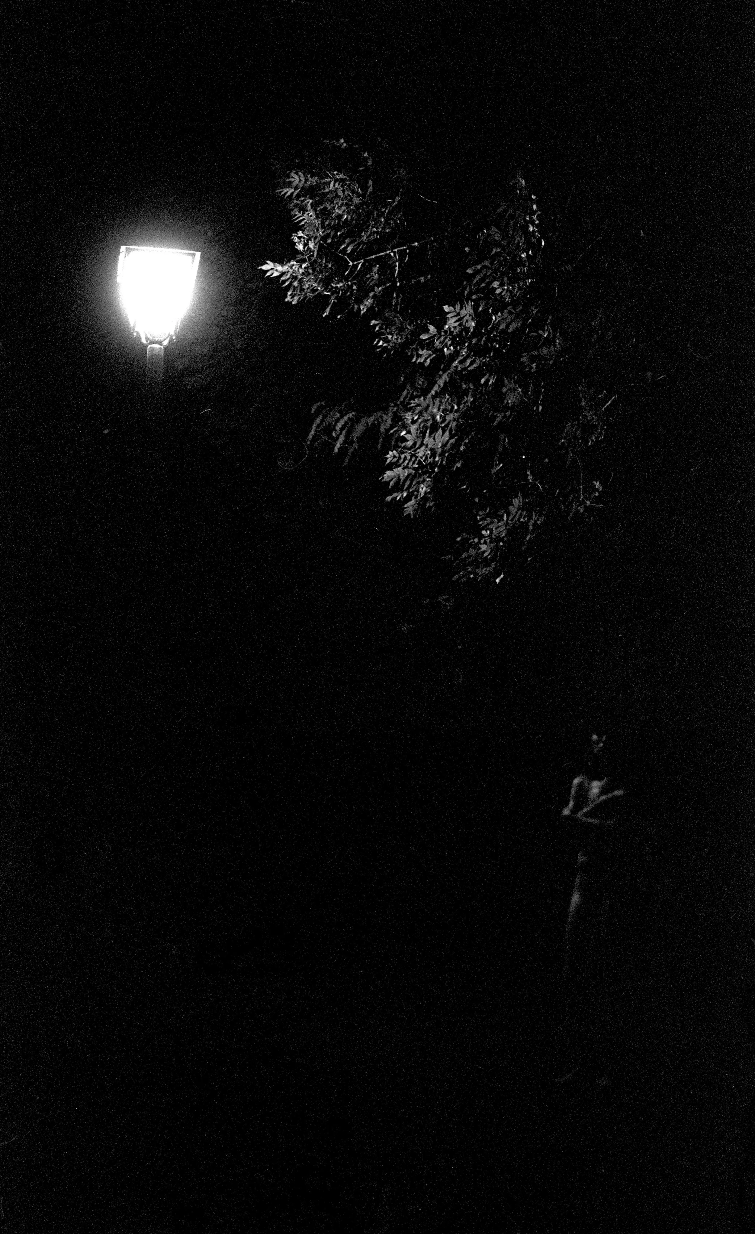 lampadaire allumé sous un ciel de nuit avec des feuilles d'arbres en arrière-plan.