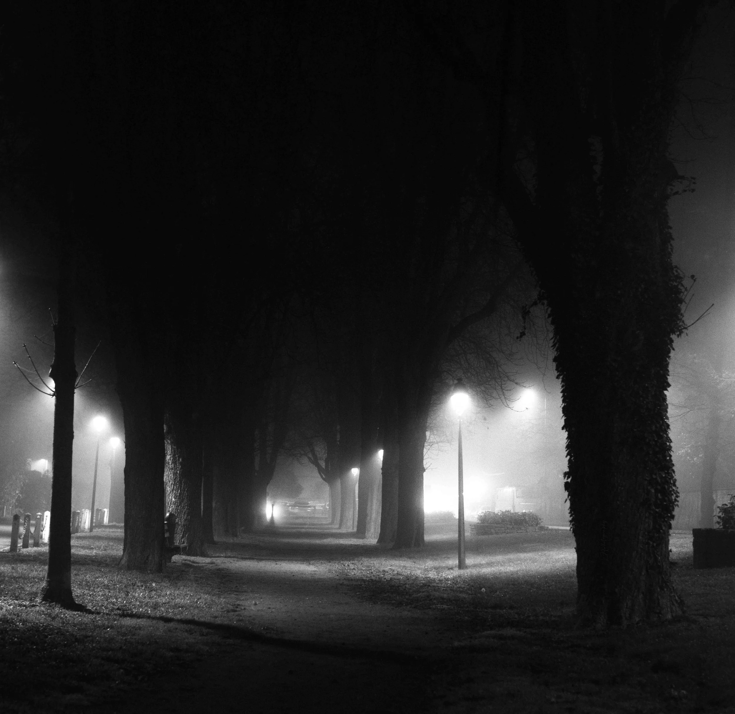 Une rue ou un parc à la nuit, avec des arbres, de la brume ou du brouillard, et des lampadaires éclairant partiellement la scène.