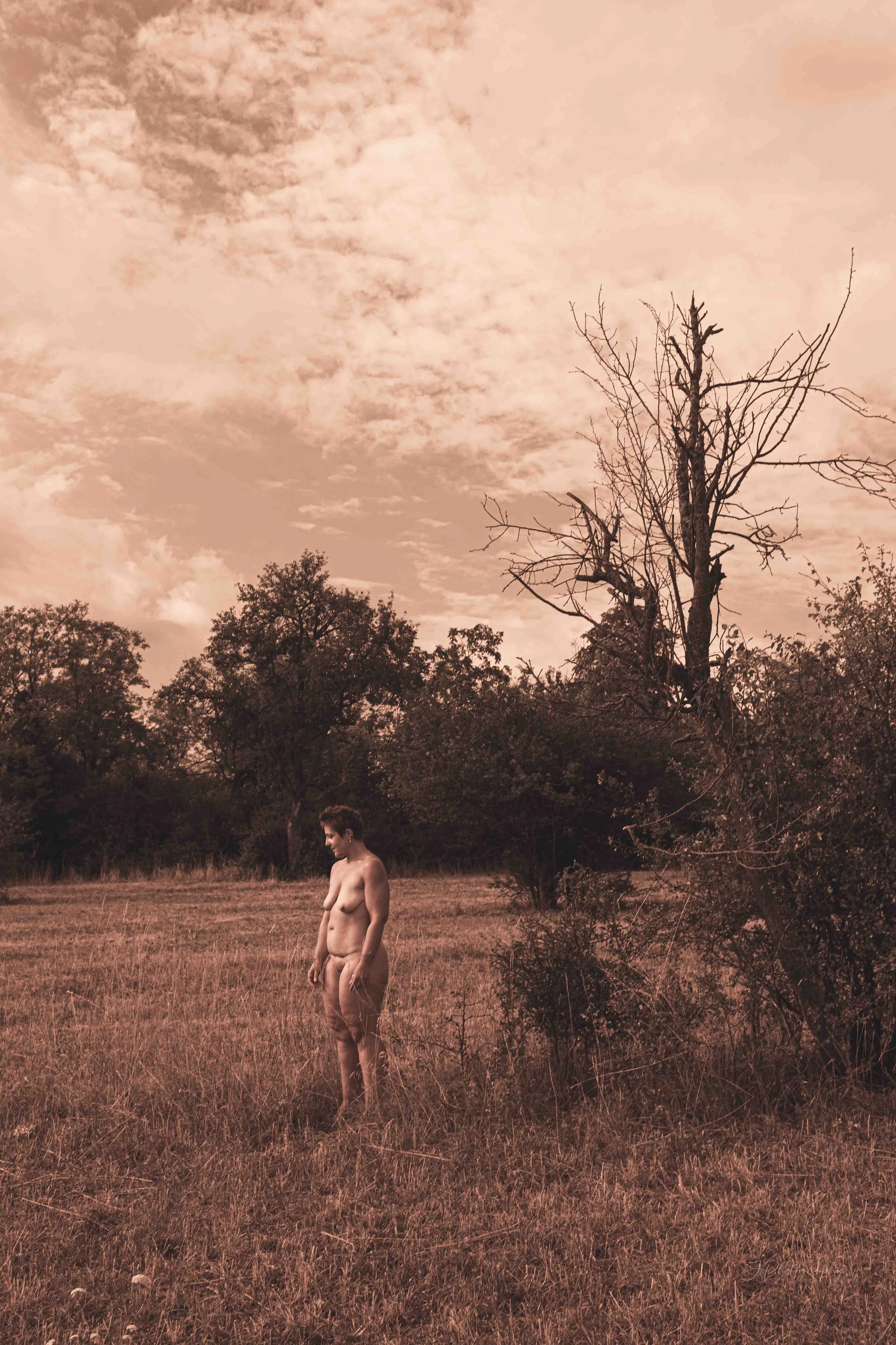 Un homme nu se tient dans une prairie, entouré d'arbres, avec un ciel nuageux en arrière-plan. L'image a une teinte sépia.