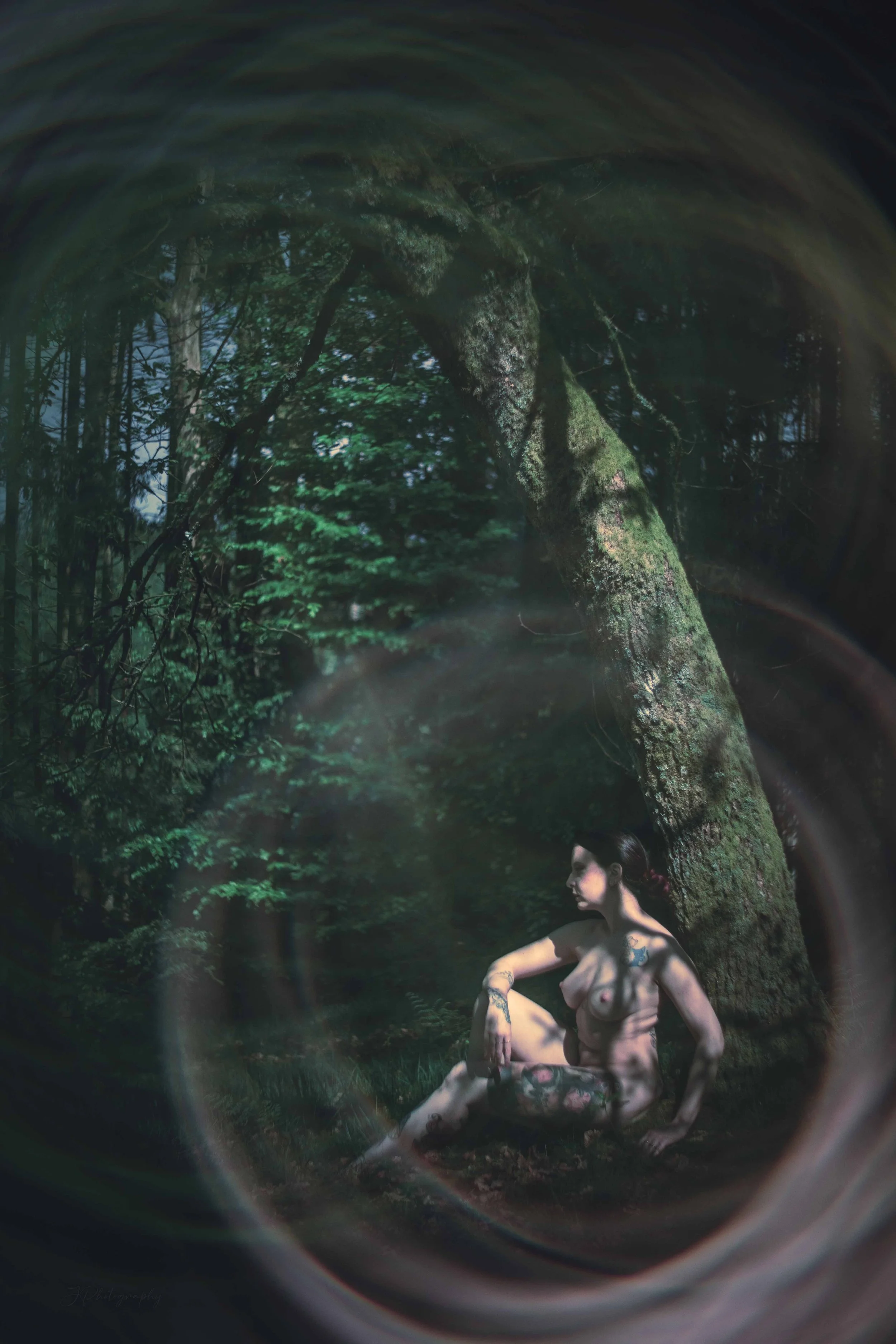 Une jeune femme nue avec des tatouages assise sous un arbre dans une forêt dense, dans une ambiance mystérieuse et sombre.