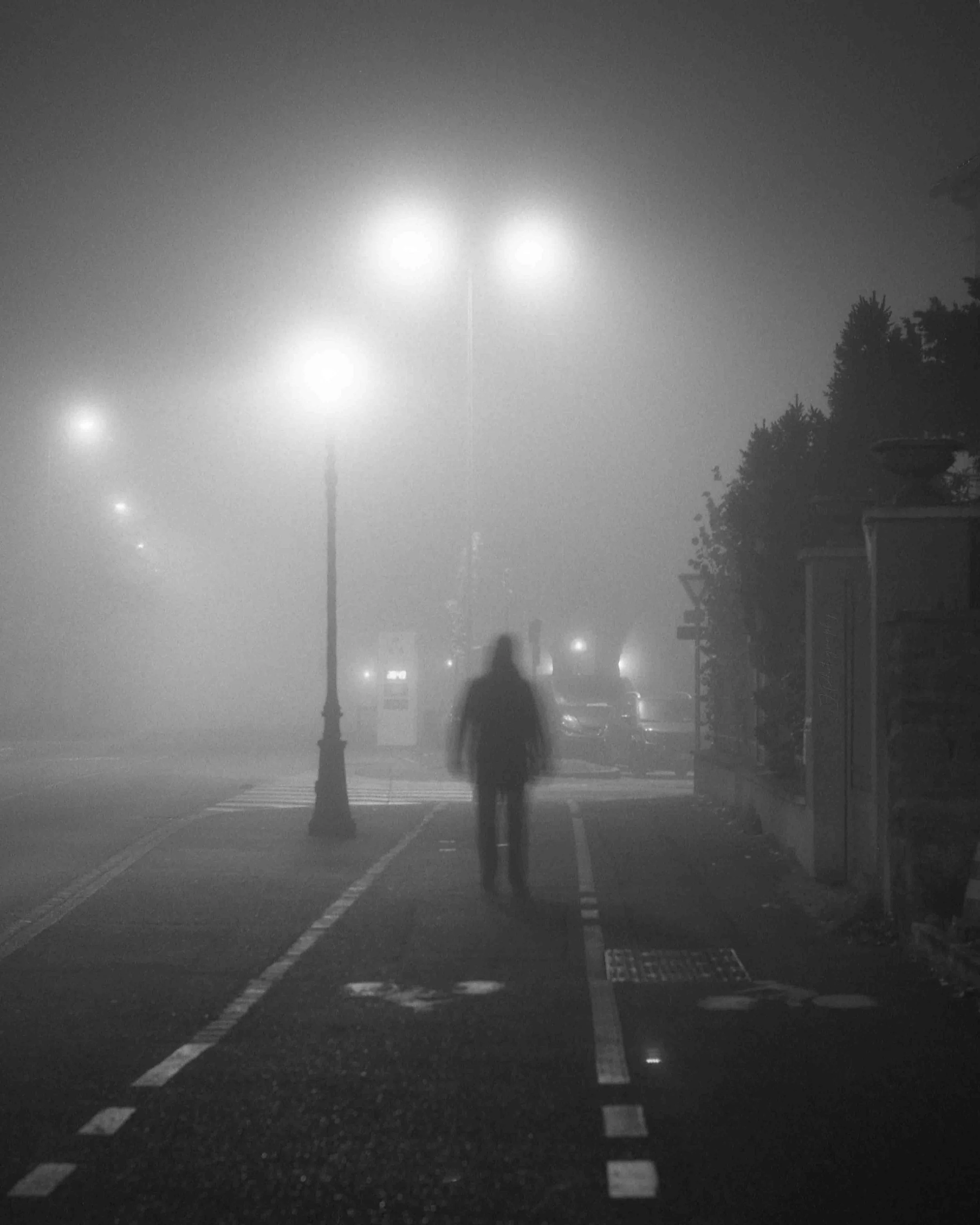 SHOOTING BROUILLARD ROUFFACH 26-11-22-019.jpg