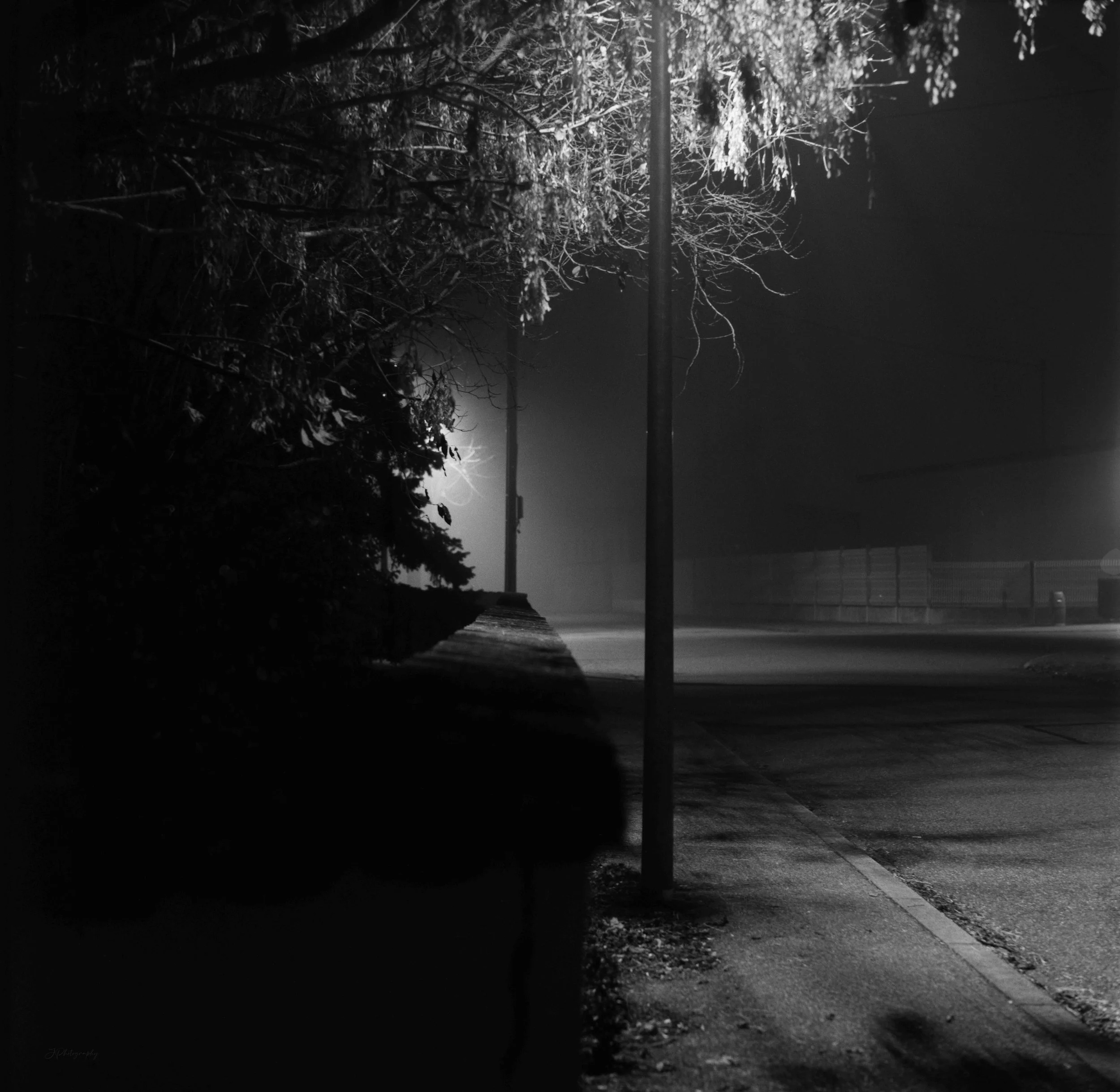 Une scène nocturne sombre avec des branches d'arbres, un lampadaire lumineux et un trottoir avec une clôture à côté.