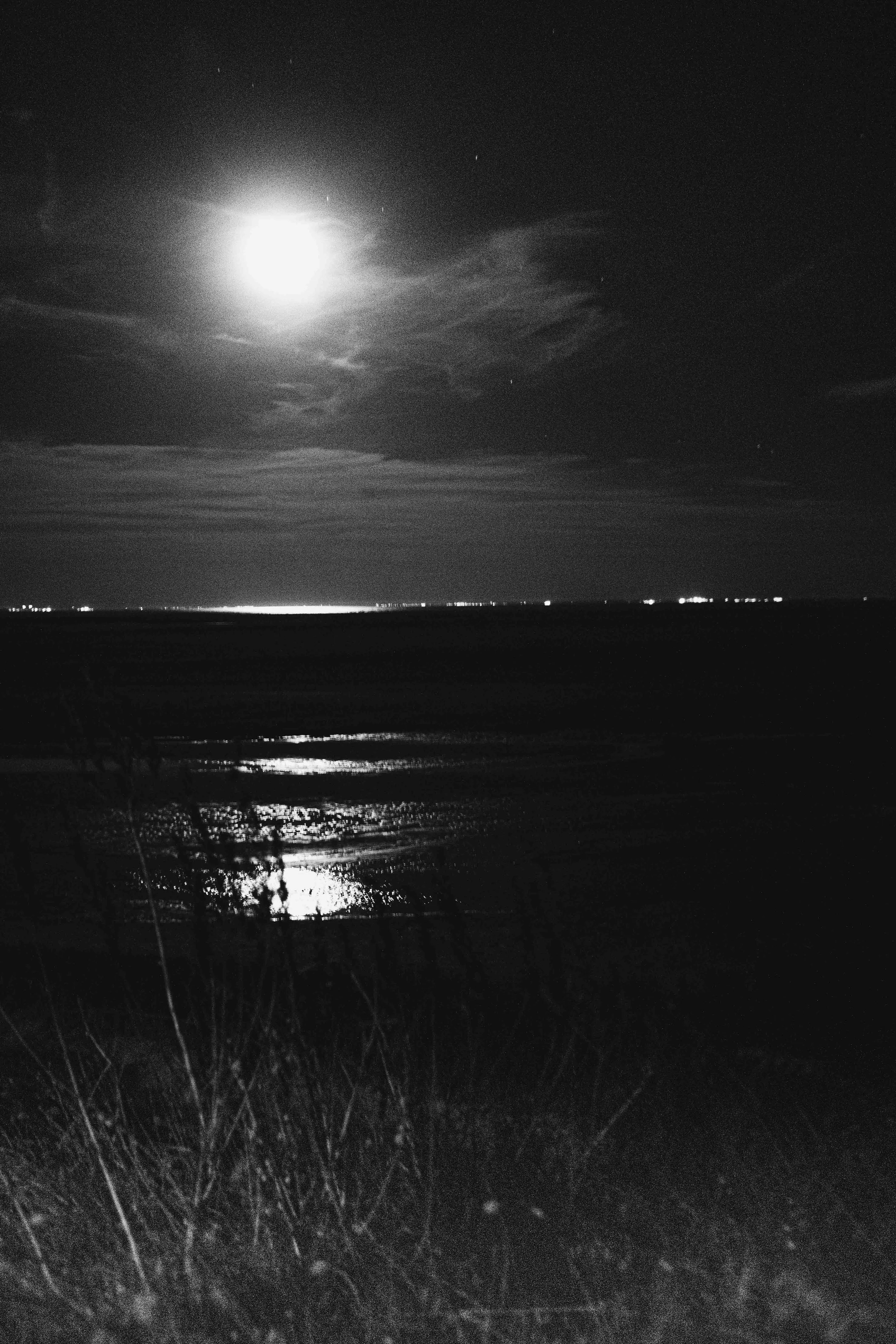 Paysage de nuit, Vendée, 2025.