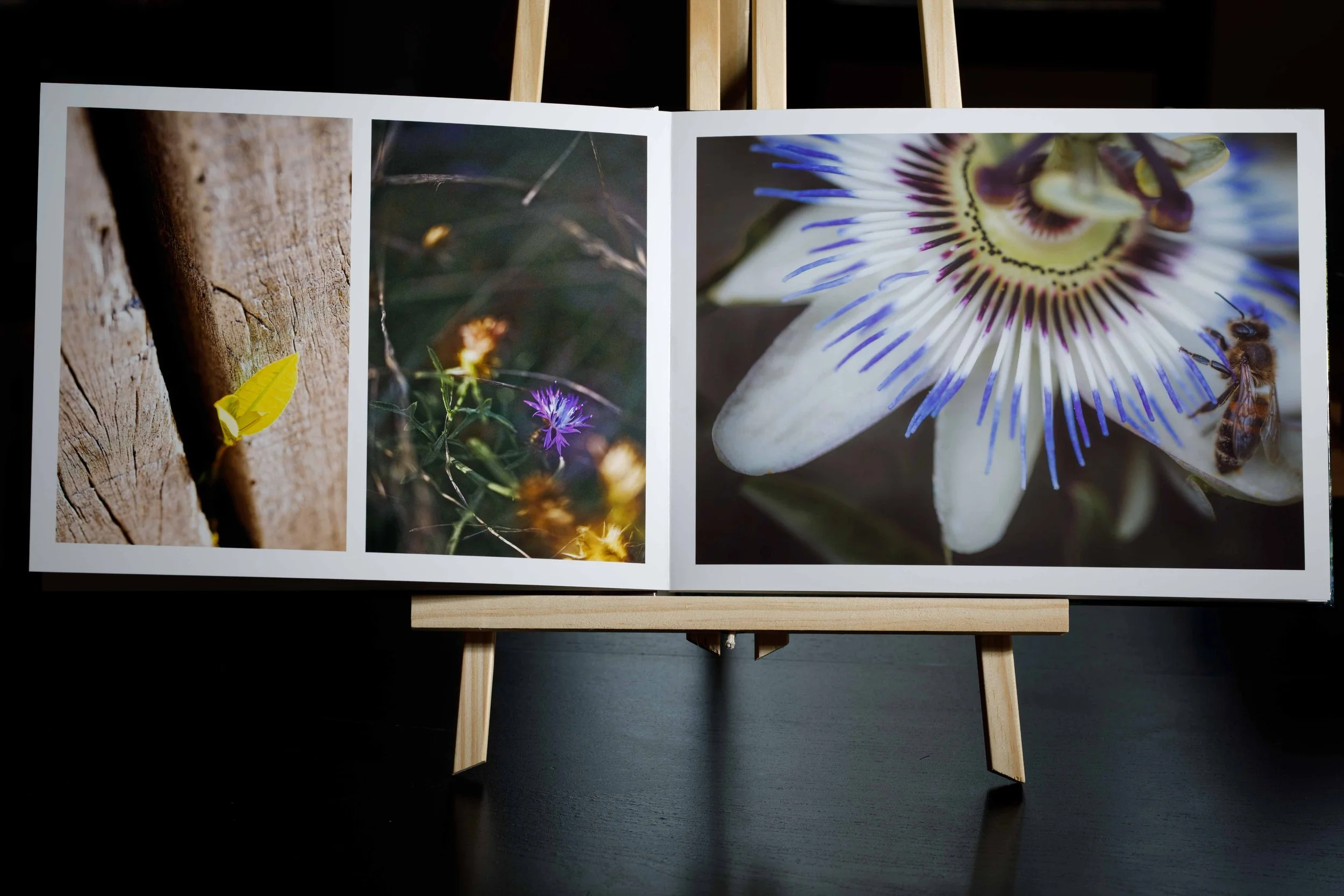 LIVRE 2 PACKSHOT-3.jpg